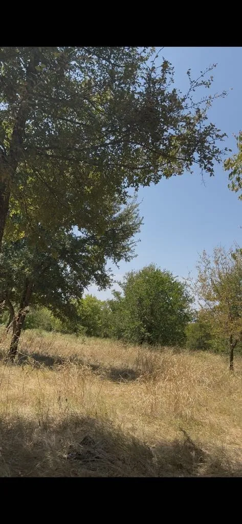 Unimproved Land For Sale in Hunt County , 103235 Hillside Circle, Lone Oak, Texas 75453, 0, 0, Garage spaces, 0 Sqft, built in 0, mls#21372672, Real Estate Agent in Lone Oak, Homes For Sale in Hunt county, Homes For Sale in Lone Oak, Realtor in Lone Oak Texas, Real Estate Brokerage Independent Realty Texas, Luminita Cordes Realtor