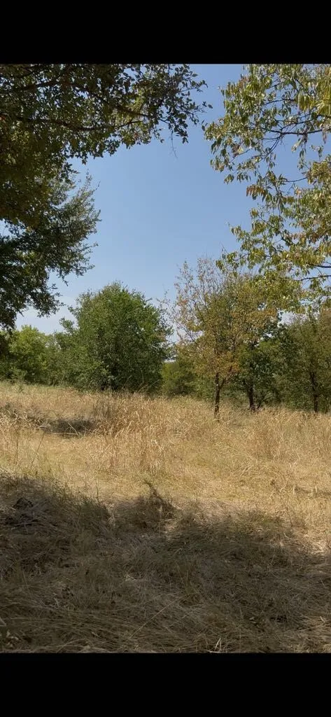 Unimproved Land For Sale in Hunt County , 103235 Hillside Circle, Lone Oak, Texas 75453, 0, 0, Garage spaces, 0 Sqft, built in 0, mls#21372672, Real Estate Agent in Lone Oak, Homes For Sale in Hunt county, Homes For Sale in Lone Oak, Realtor in Lone Oak Texas, Real Estate Brokerage Independent Realty Texas, Luminita Cordes Realtor