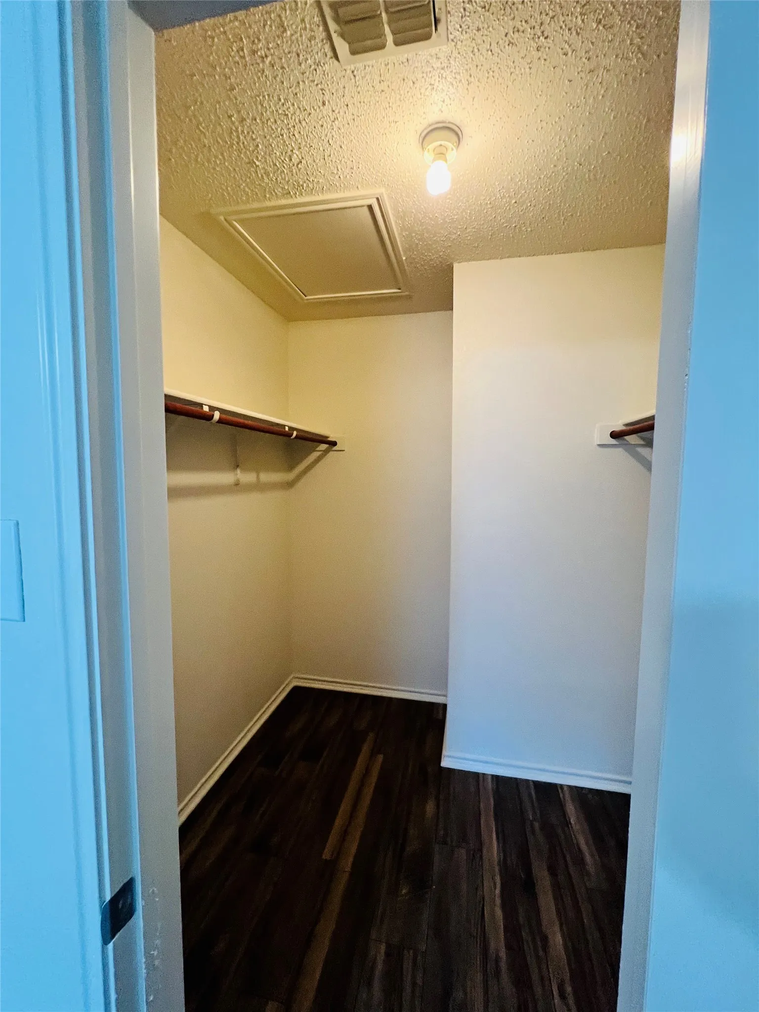 Wood-finish flooring with dual clothing rods and overhead lighting