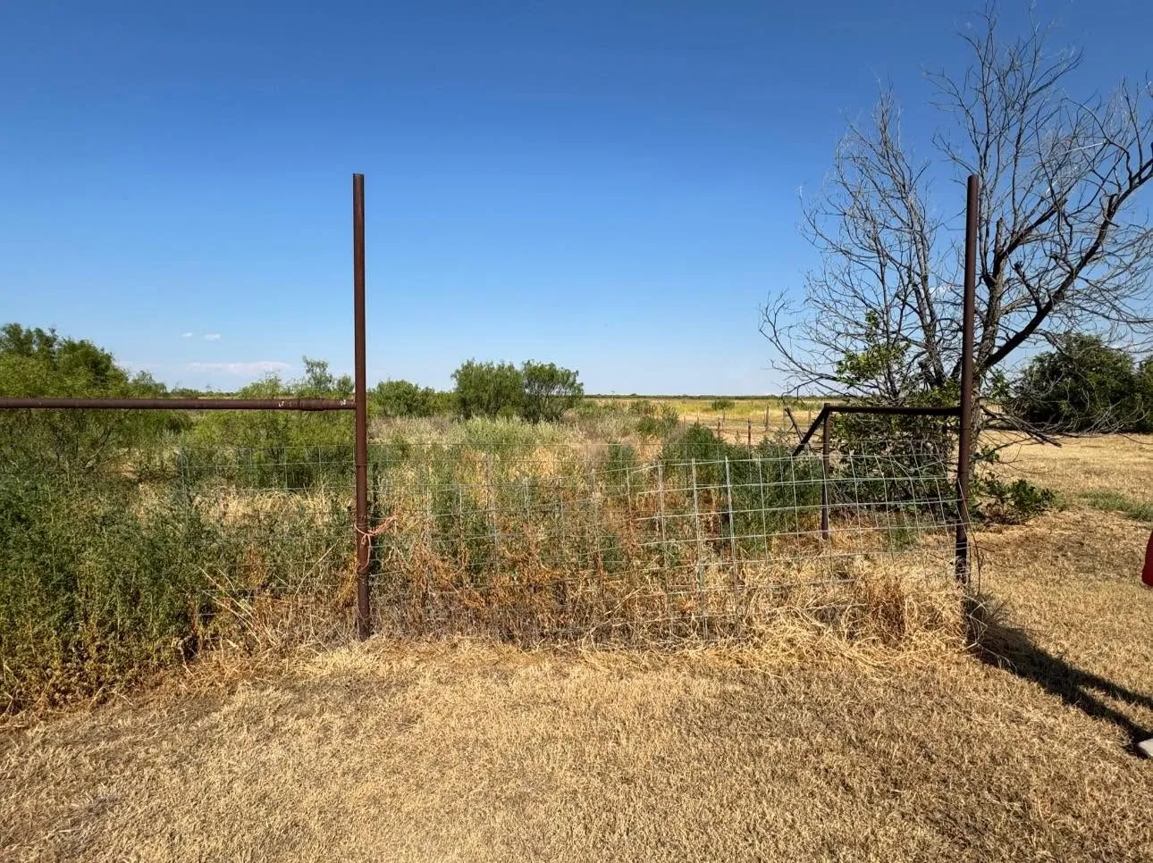 Single Family Residence For Sale in Hardeman County , 1807 Tx-6, Quanah, Texas 79252, 3 Bedroom, 2 Bathroom, 1 Garage spaces, 1,768 Sqft, built in 1958, mls#21372678, Real Estate Agent in Quanah, Homes For Sale in Hardeman county, Homes For Sale in Quanah, Realtor in Quanah Texas, Real Estate Brokerage Independent Realty Texas, Luminita Cordes Realtor