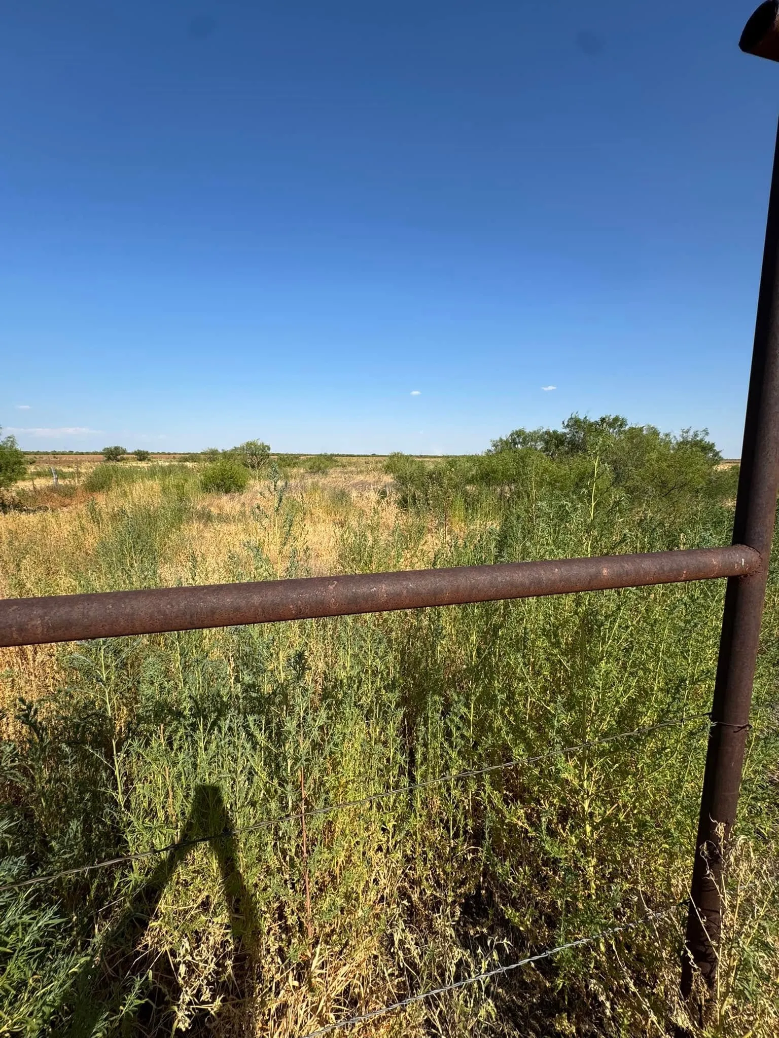 Single Family Residence For Sale in Hardeman County , 1807 Tx-6, Quanah, Texas 79252, 3 Bedroom, 2 Bathroom, 1 Garage spaces, 1,768 Sqft, built in 1958, mls#21372678, Real Estate Agent in Quanah, Homes For Sale in Hardeman county, Homes For Sale in Quanah, Realtor in Quanah Texas, Real Estate Brokerage Independent Realty Texas, Luminita Cordes Realtor