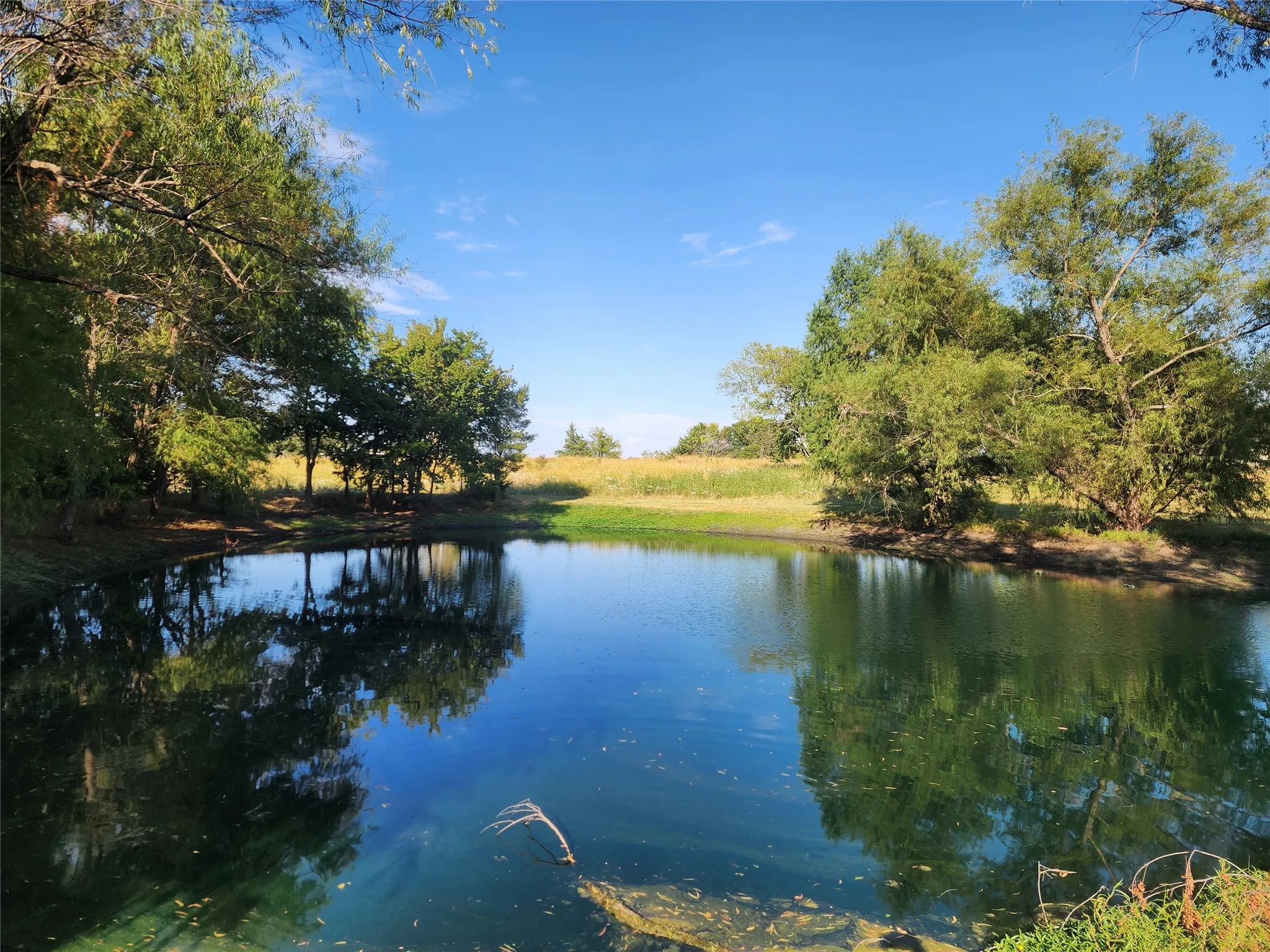 Tranquil pond with reflective surface, surrounded by mature trees and natural landscaping