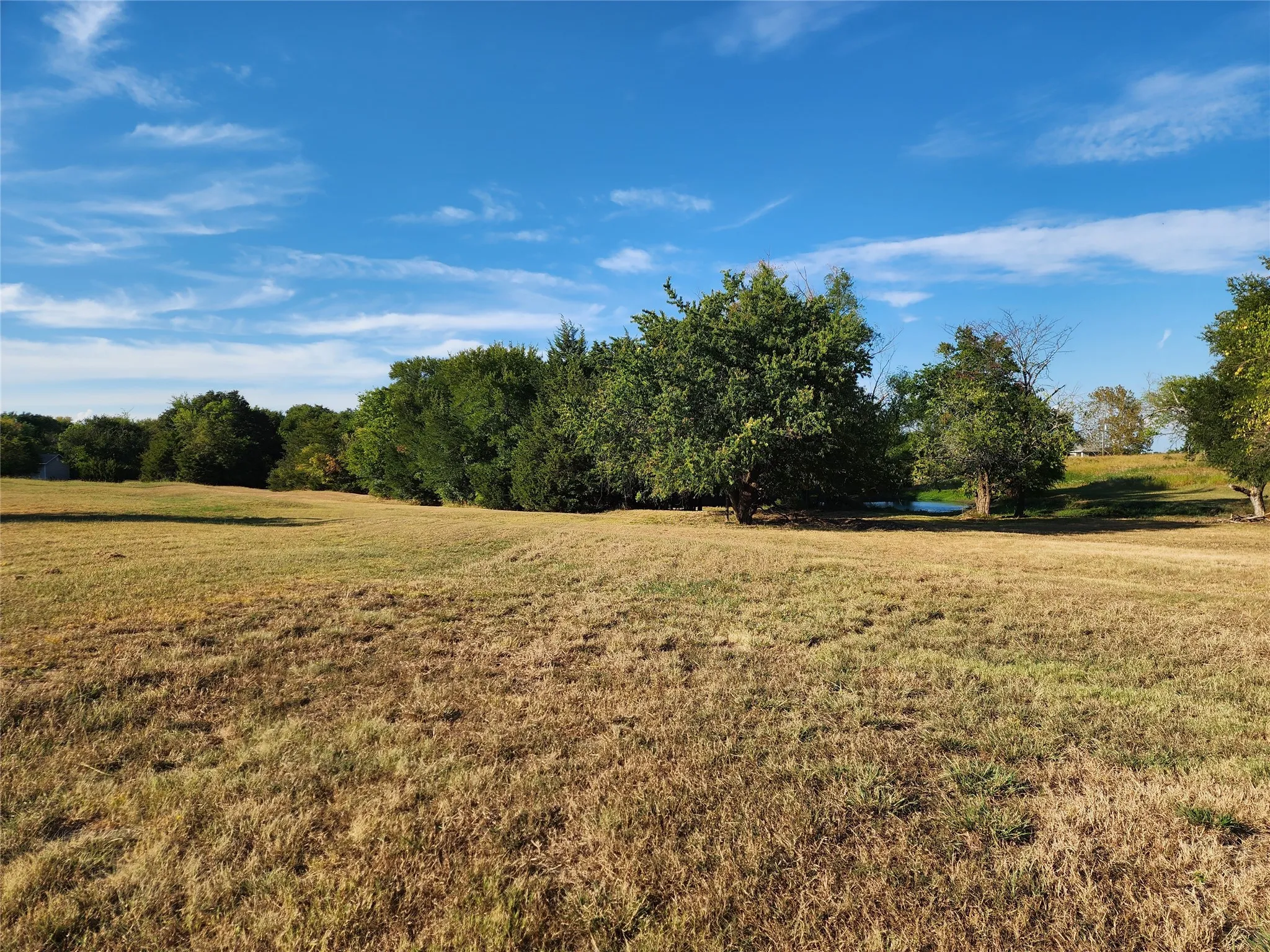 Expansive open land with mature trees and a visible water feature