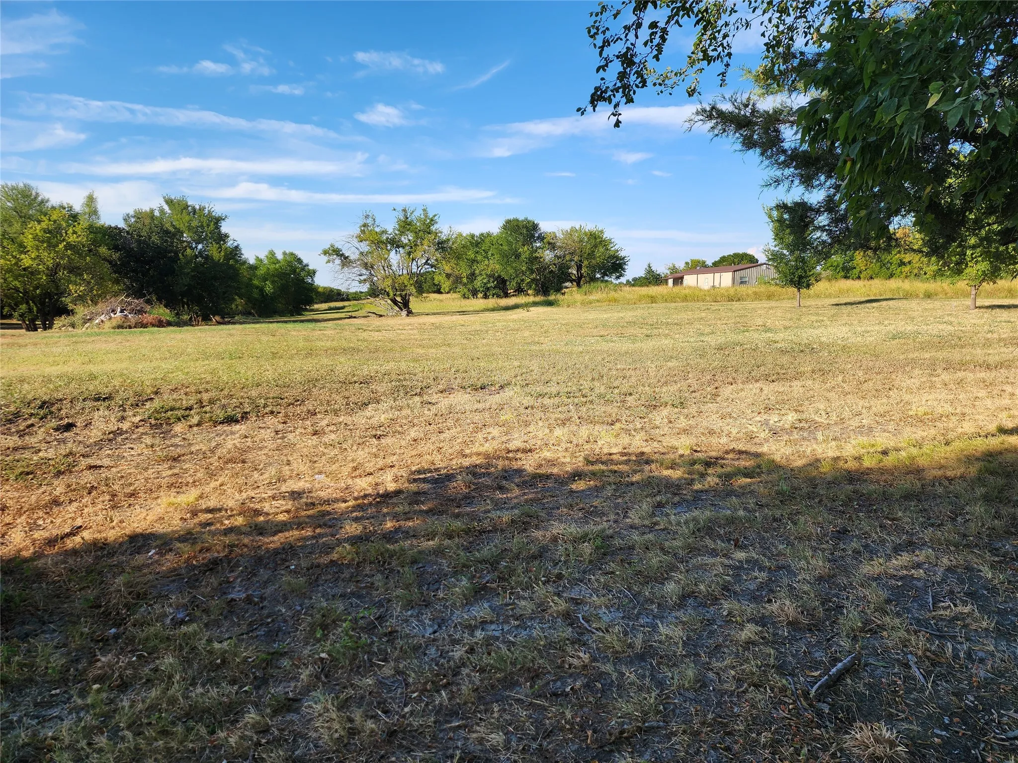 Expansive open land featuring a natural grass expanse, mature trees, and a distant structure