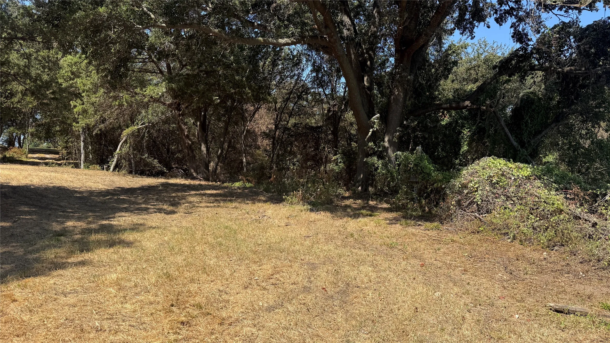 Unimproved Land For Sale in Navarro County , Tracts 16C-1 & 2 CR 2170, Corsicana, Texas 75109, 0, 0, Garage spaces, 0 Sqft, built in 2011, mls#21371879, Real Estate Agent in Corsicana, Homes For Sale in Navarro county, Homes For Sale in Corsicana, Realtor in Corsicana Texas, Real Estate Brokerage Independent Realty Texas, Luminita Cordes Realtor