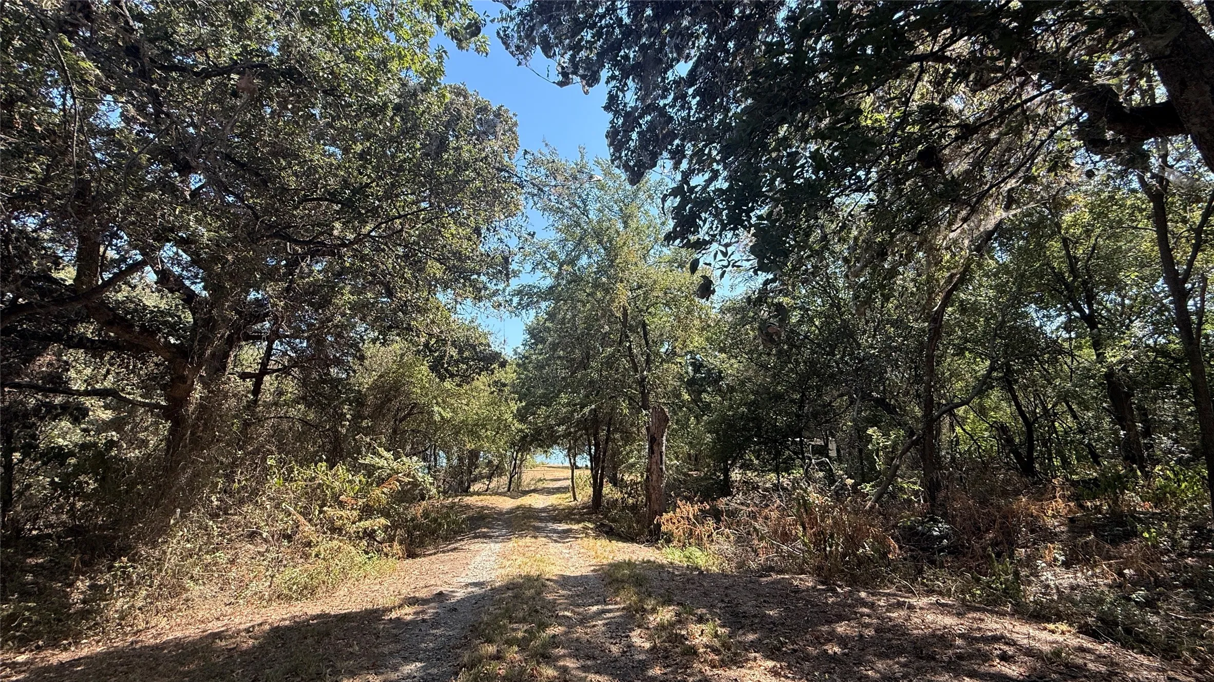 Unimproved Land For Sale in Navarro County , Tracts 16C-1 & 2 CR 2170, Corsicana, Texas 75109, 0, 0, Garage spaces, 0 Sqft, built in 2011, mls#21371879, Real Estate Agent in Corsicana, Homes For Sale in Navarro county, Homes For Sale in Corsicana, Realtor in Corsicana Texas, Real Estate Brokerage Independent Realty Texas, Luminita Cordes Realtor