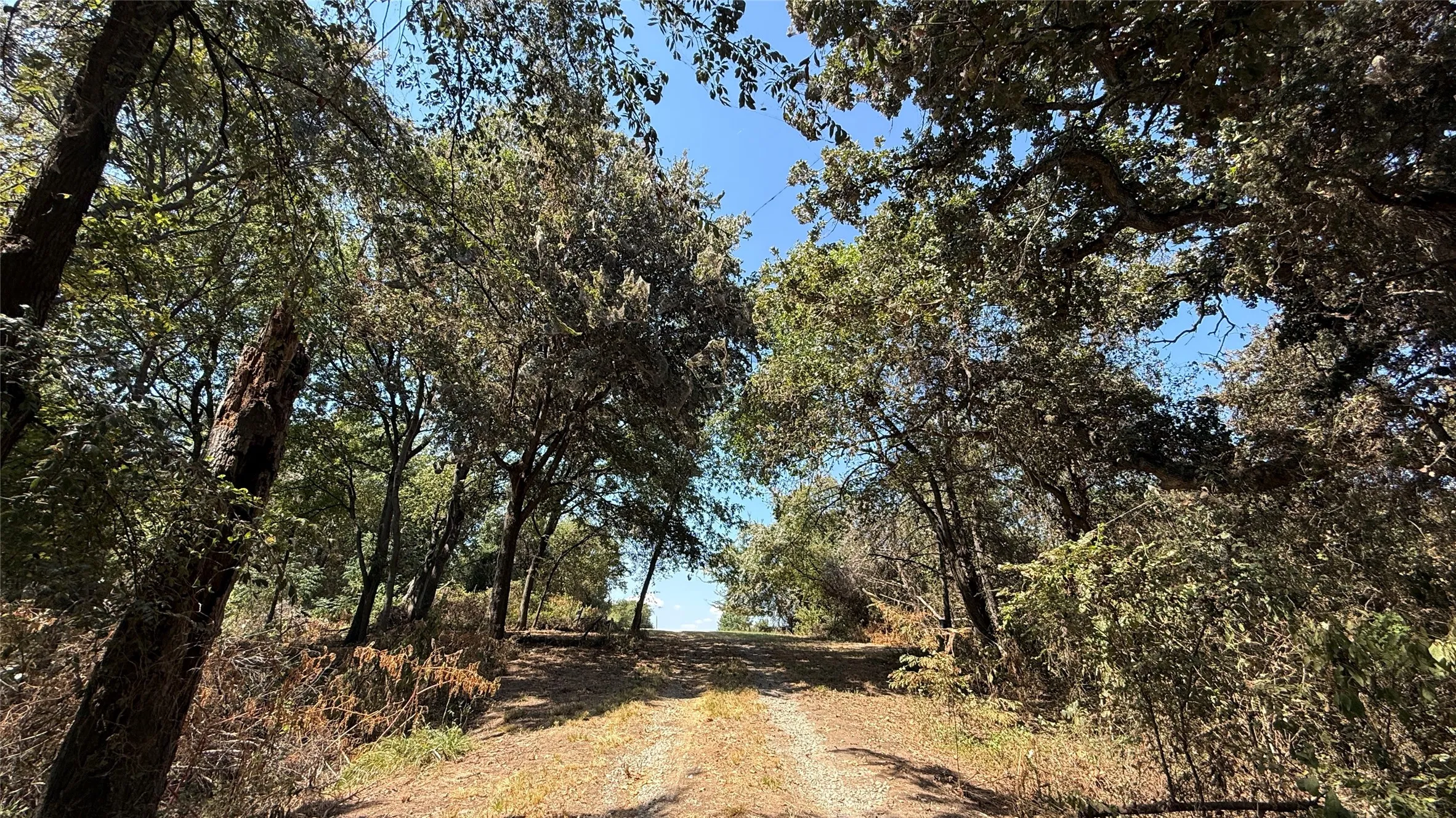 Unimproved Land For Sale in Navarro County , Tracts 16C-1 & 2 CR 2170, Corsicana, Texas 75109, 0, 0, Garage spaces, 0 Sqft, built in 2011, mls#21371879, Real Estate Agent in Corsicana, Homes For Sale in Navarro county, Homes For Sale in Corsicana, Realtor in Corsicana Texas, Real Estate Brokerage Independent Realty Texas, Luminita Cordes Realtor