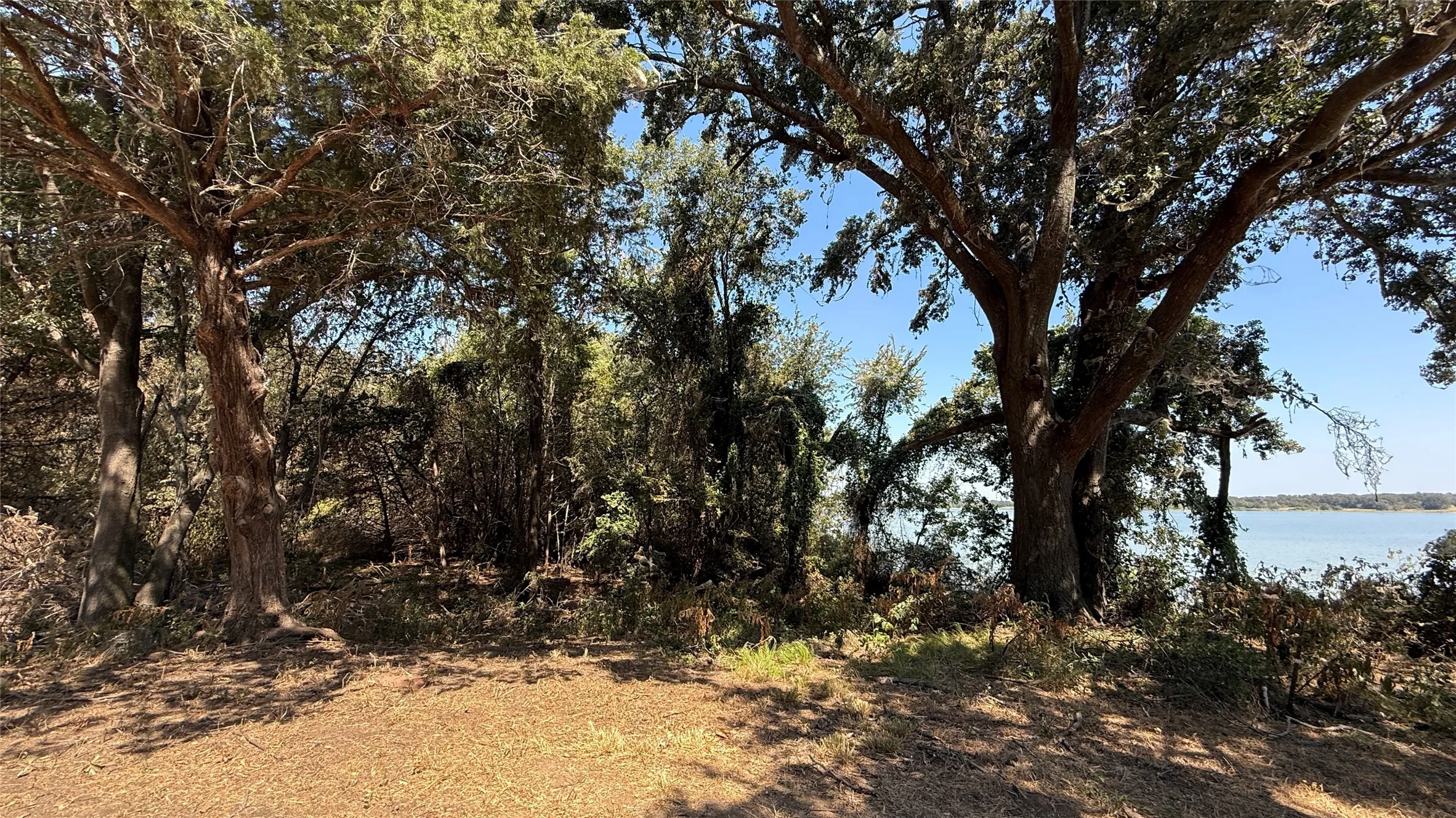 Unimproved Land For Sale in Navarro County , Tracts 16C-1 & 2 CR 2170, Corsicana, Texas 75109, 0, 0, Garage spaces, 0 Sqft, built in 2011, mls#21371879, Real Estate Agent in Corsicana, Homes For Sale in Navarro county, Homes For Sale in Corsicana, Realtor in Corsicana Texas, Real Estate Brokerage Independent Realty Texas, Luminita Cordes Realtor