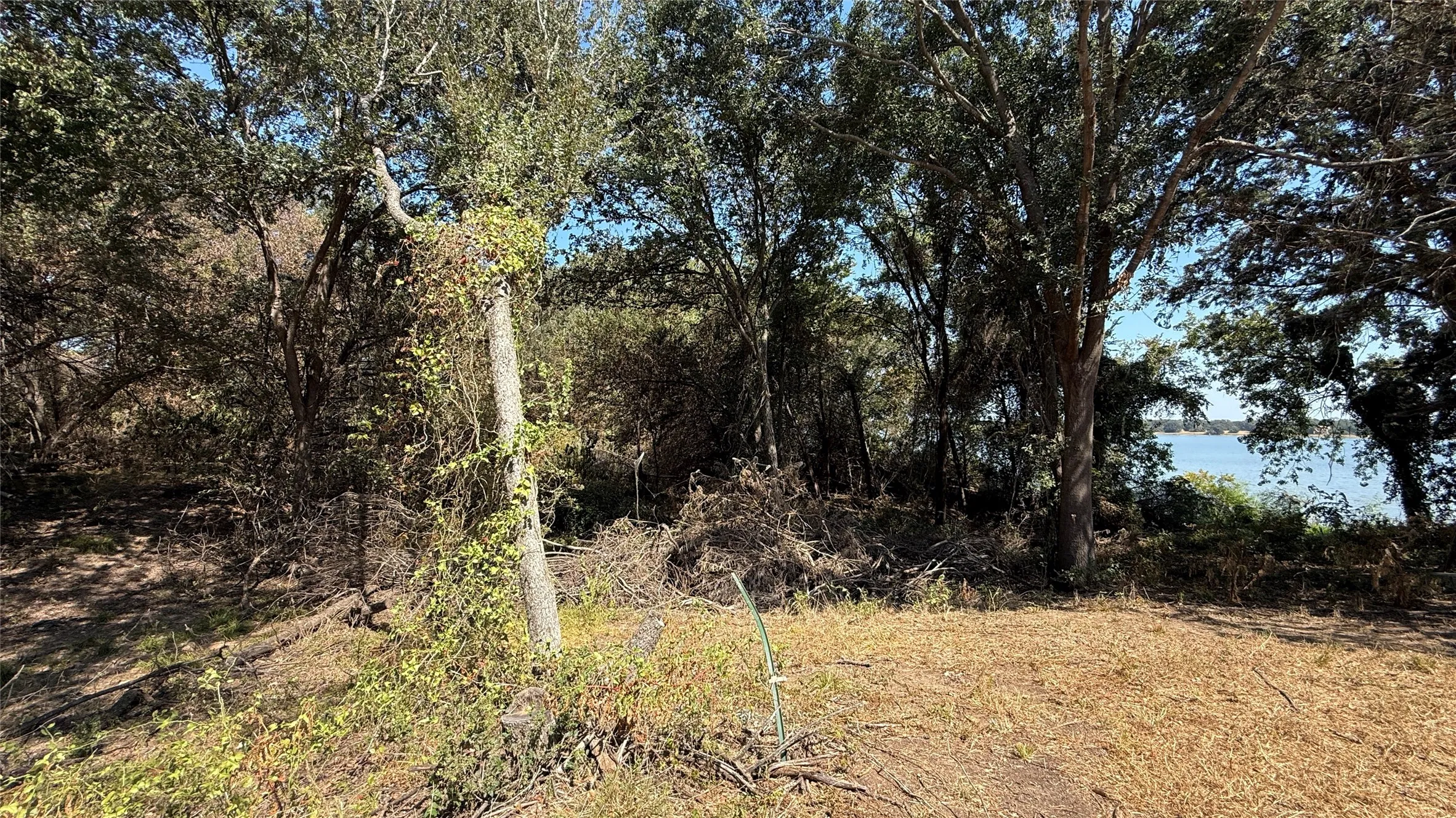 Unimproved Land For Sale in Navarro County , Tracts 16C-1 & 2 CR 2170, Corsicana, Texas 75109, 0, 0, Garage spaces, 0 Sqft, built in 2011, mls#21371879, Real Estate Agent in Corsicana, Homes For Sale in Navarro county, Homes For Sale in Corsicana, Realtor in Corsicana Texas, Real Estate Brokerage Independent Realty Texas, Luminita Cordes Realtor