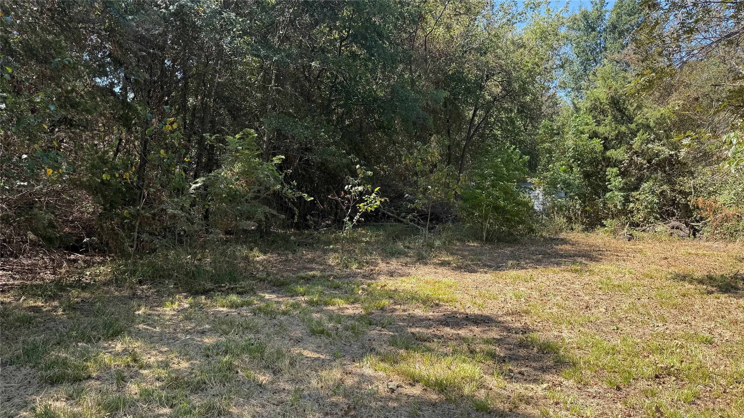 Unimproved Land For Sale in Navarro County , Tracts 16C-1 & 2 CR 2170, Corsicana, Texas 75109, 0, 0, Garage spaces, 0 Sqft, built in 2011, mls#21371879, Real Estate Agent in Corsicana, Homes For Sale in Navarro county, Homes For Sale in Corsicana, Realtor in Corsicana Texas, Real Estate Brokerage Independent Realty Texas, Luminita Cordes Realtor