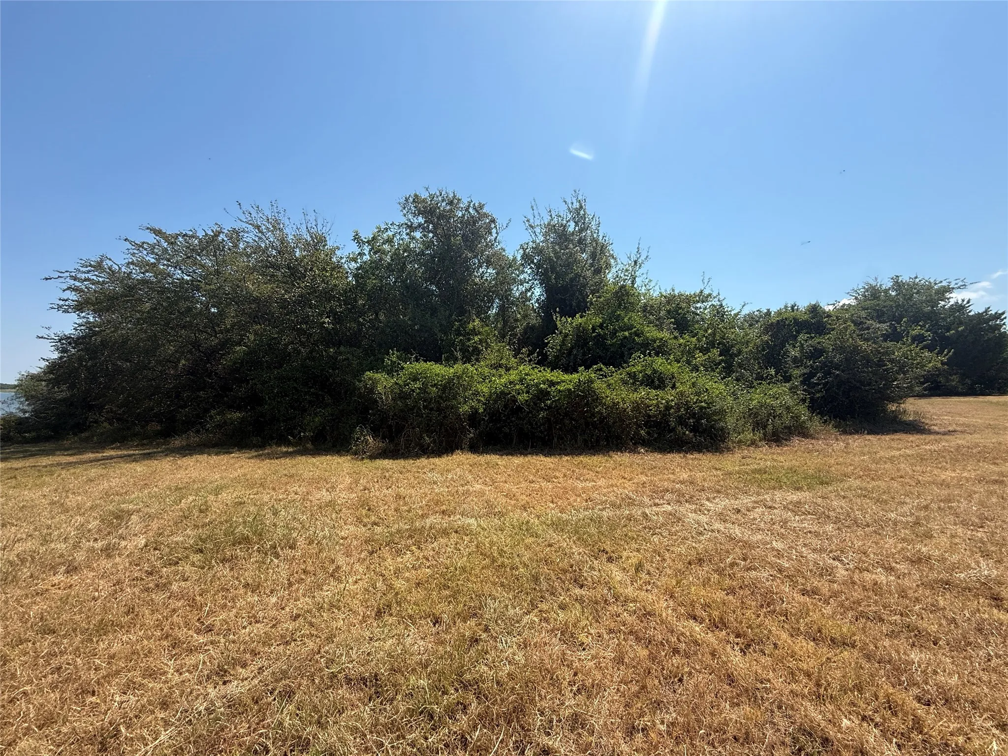 Unimproved Land For Sale in Navarro County , Tracts 16C-1 & 2 CR 2170, Corsicana, Texas 75109, 0, 0, Garage spaces, 0 Sqft, built in 2011, mls#21371879, Real Estate Agent in Corsicana, Homes For Sale in Navarro county, Homes For Sale in Corsicana, Realtor in Corsicana Texas, Real Estate Brokerage Independent Realty Texas, Luminita Cordes Realtor