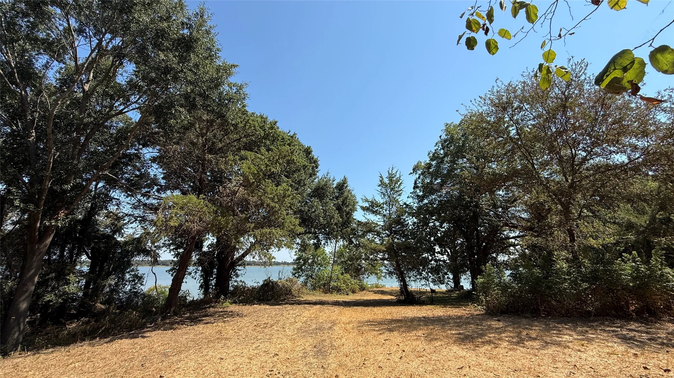 Unimproved Land For Sale in Navarro County , Tracts 16C-1 & 2 CR 2170, Corsicana, Texas 75109, 0, 0, Garage spaces, 0 Sqft, built in 2011, mls#21371879, Real Estate Agent in Corsicana, Homes For Sale in Navarro county, Homes For Sale in Corsicana, Realtor in Corsicana Texas, Real Estate Brokerage Independent Realty Texas, Luminita Cordes Realtor