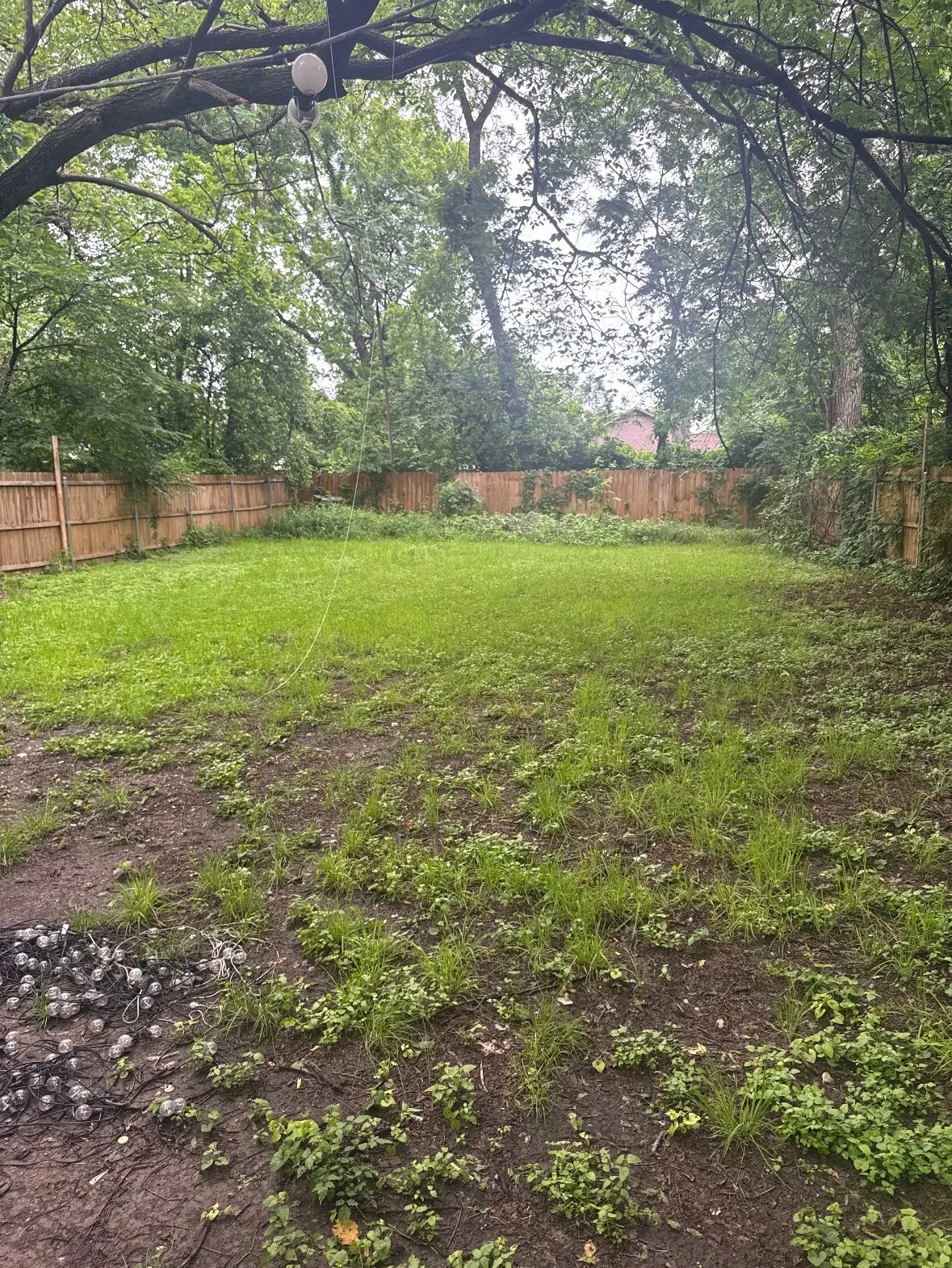 Expansive yard with natural wood fencing, mature trees, and a clear open space