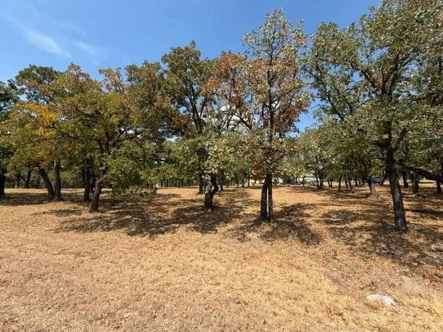 Improved Land For Sale in Montague County , 122 Blackhawk Street, Nocona, Texas 76255, 0, 0, Garage spaces, 0 Sqft, built in 0, mls#21372745, Real Estate Agent in Nocona, Homes For Sale in Montague county, Homes For Sale in Nocona, Realtor in Nocona Texas, Real Estate Brokerage Independent Realty Texas, Luminita Cordes Realtor
