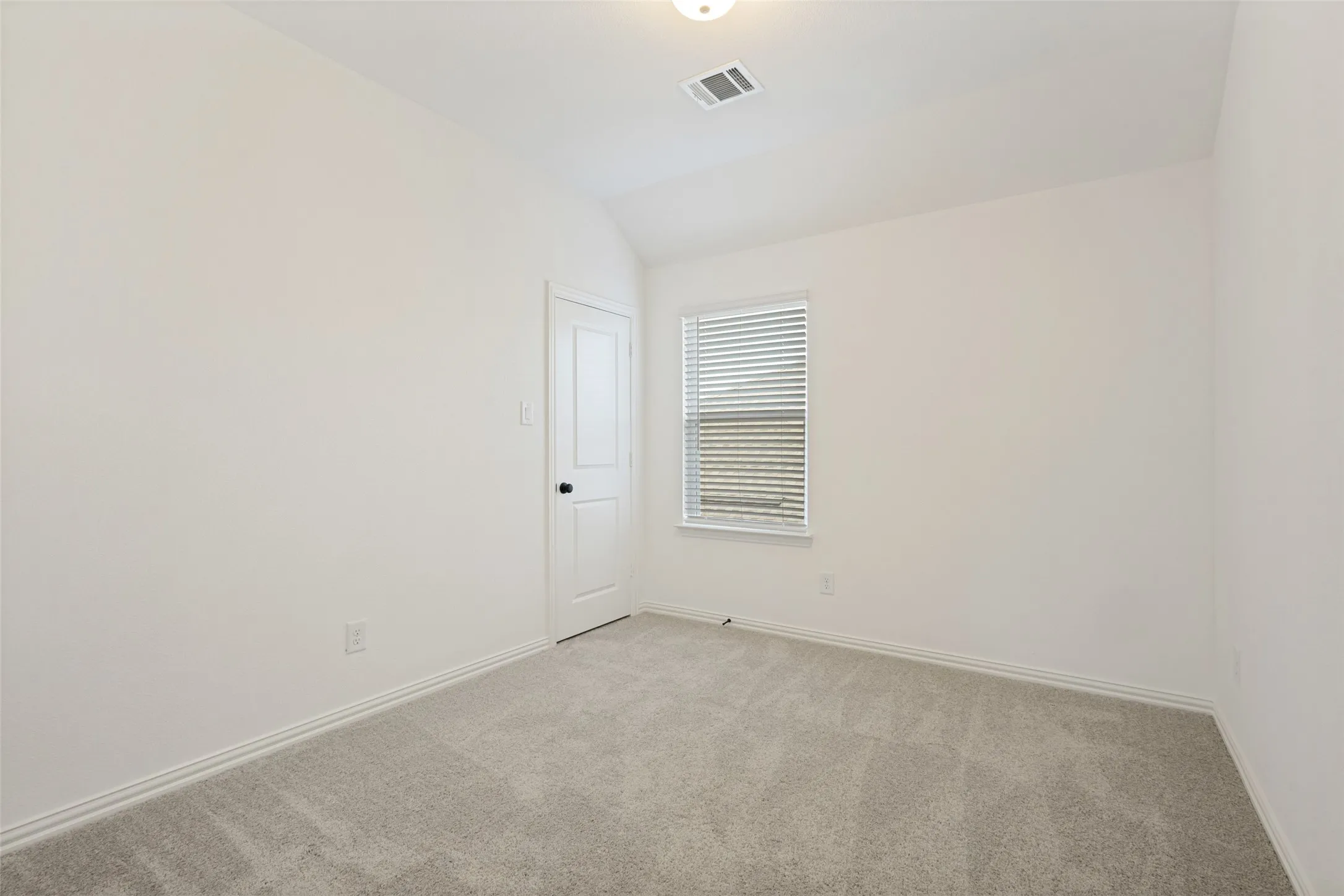 Neutral carpeting, white painted walls, white trim, a single window with blinds, and a paneled door