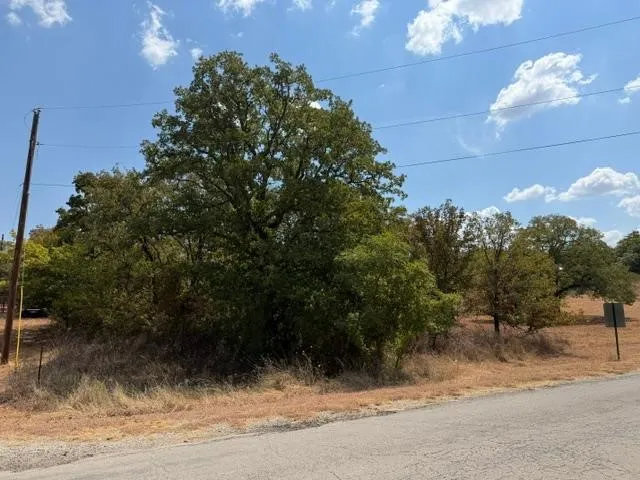 Expansive lot featuring mature trees and established greenery