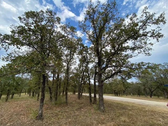 Unimproved Land For Sale in Wise County , 155 Phillips, Runaway Bay, Texas 76426, 0, 0, Garage spaces, 0 Sqft, built in 0, mls#21372762, Real Estate Agent in Runaway Bay, Homes For Sale in Wise county, Homes For Sale in Runaway Bay, Realtor in Runaway Bay Texas, Real Estate Brokerage Independent Realty Texas, Luminita Cordes Realtor