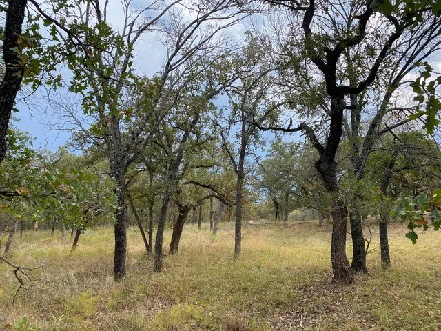 Unimproved Land For Sale in Wise County , 155 Phillips, Runaway Bay, Texas 76426, 0, 0, Garage spaces, 0 Sqft, built in 0, mls#21372762, Real Estate Agent in Runaway Bay, Homes For Sale in Wise county, Homes For Sale in Runaway Bay, Realtor in Runaway Bay Texas, Real Estate Brokerage Independent Realty Texas, Luminita Cordes Realtor