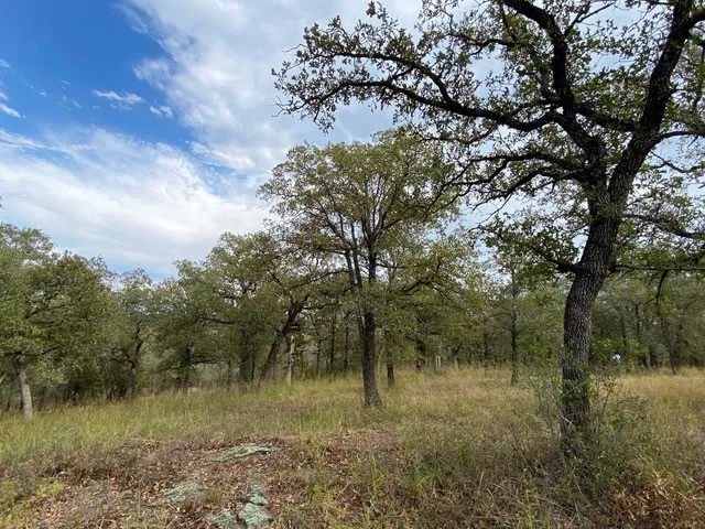 Unimproved Land For Sale in Wise County , 155 Phillips, Runaway Bay, Texas 76426, 0, 0, Garage spaces, 0 Sqft, built in 0, mls#21372762, Real Estate Agent in Runaway Bay, Homes For Sale in Wise county, Homes For Sale in Runaway Bay, Realtor in Runaway Bay Texas, Real Estate Brokerage Independent Realty Texas, Luminita Cordes Realtor