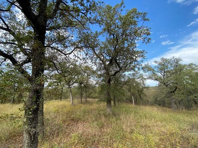 Unimproved Land For Sale in Wise County , 155 Phillips, Runaway Bay, Texas 76426, 0, 0, Garage spaces, 0 Sqft, built in 0, mls#21372762, Real Estate Agent in Runaway Bay, Homes For Sale in Wise county, Homes For Sale in Runaway Bay, Realtor in Runaway Bay Texas, Real Estate Brokerage Independent Realty Texas, Luminita Cordes Realtor