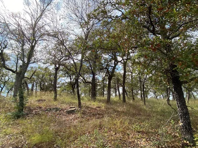 Unimproved Land For Sale in Wise County , 155 Phillips, Runaway Bay, Texas 76426, 0, 0, Garage spaces, 0 Sqft, built in 0, mls#21372762, Real Estate Agent in Runaway Bay, Homes For Sale in Wise county, Homes For Sale in Runaway Bay, Realtor in Runaway Bay Texas, Real Estate Brokerage Independent Realty Texas, Luminita Cordes Realtor