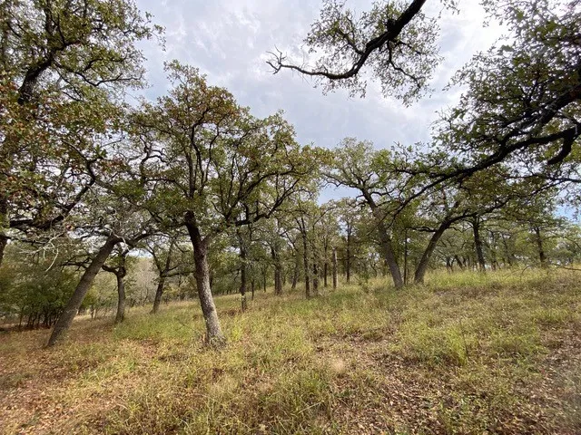 Unimproved Land For Sale in Wise County , 155 Phillips, Runaway Bay, Texas 76426, 0, 0, Garage spaces, 0 Sqft, built in 0, mls#21372762, Real Estate Agent in Runaway Bay, Homes For Sale in Wise county, Homes For Sale in Runaway Bay, Realtor in Runaway Bay Texas, Real Estate Brokerage Independent Realty Texas, Luminita Cordes Realtor