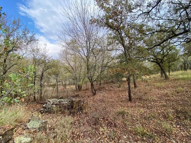 Unimproved Land For Sale in Wise County , 155 Phillips, Runaway Bay, Texas 76426, 0, 0, Garage spaces, 0 Sqft, built in 0, mls#21372762, Real Estate Agent in Runaway Bay, Homes For Sale in Wise county, Homes For Sale in Runaway Bay, Realtor in Runaway Bay Texas, Real Estate Brokerage Independent Realty Texas, Luminita Cordes Realtor
