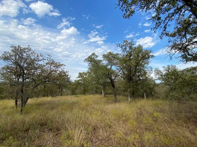 Unimproved Land For Sale in Wise County , 155 Phillips, Runaway Bay, Texas 76426, 0, 0, Garage spaces, 0 Sqft, built in 0, mls#21372762, Real Estate Agent in Runaway Bay, Homes For Sale in Wise county, Homes For Sale in Runaway Bay, Realtor in Runaway Bay Texas, Real Estate Brokerage Independent Realty Texas, Luminita Cordes Realtor