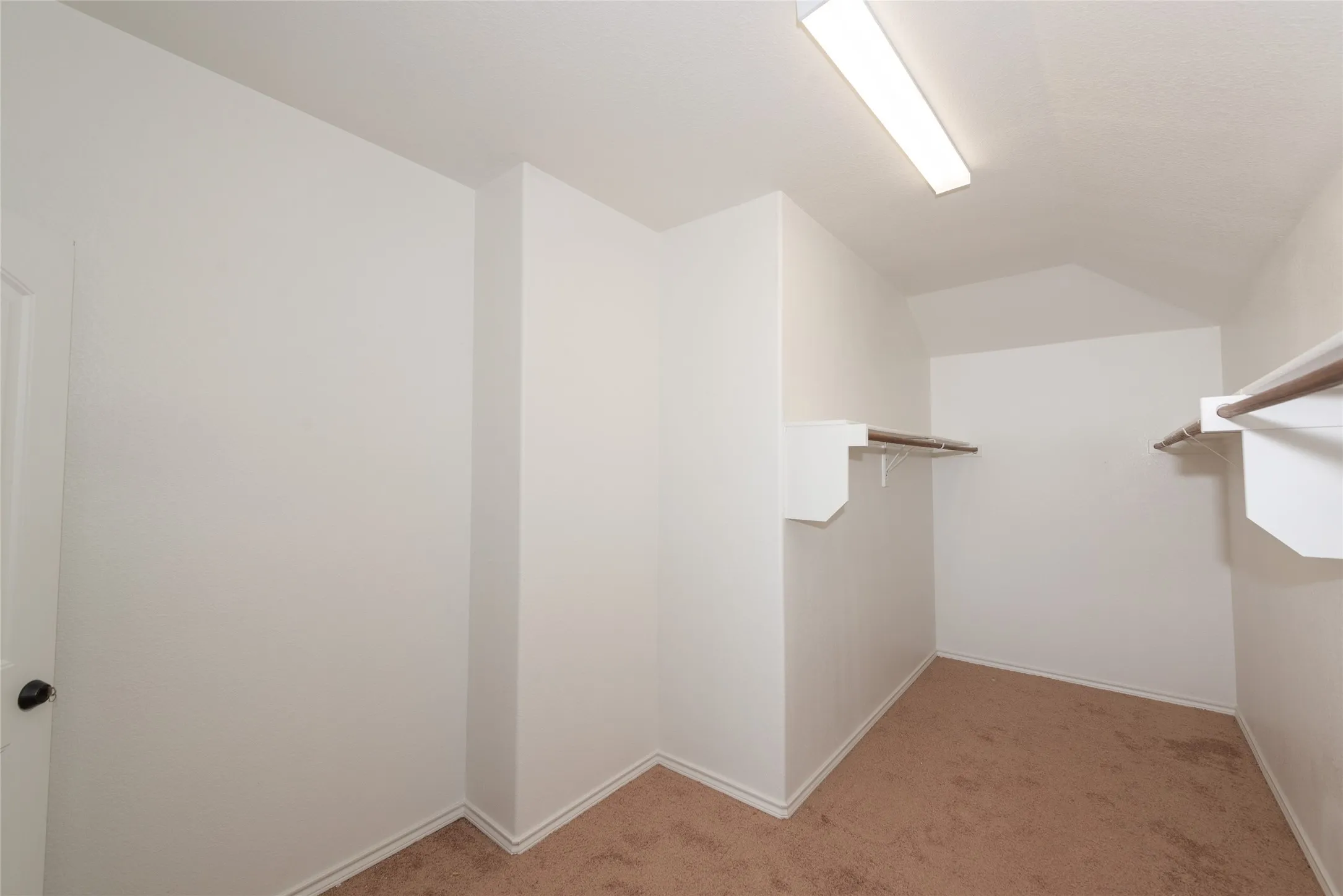 Carpeted walk-in closet with white walls, built-in shelving, and clothes rods
