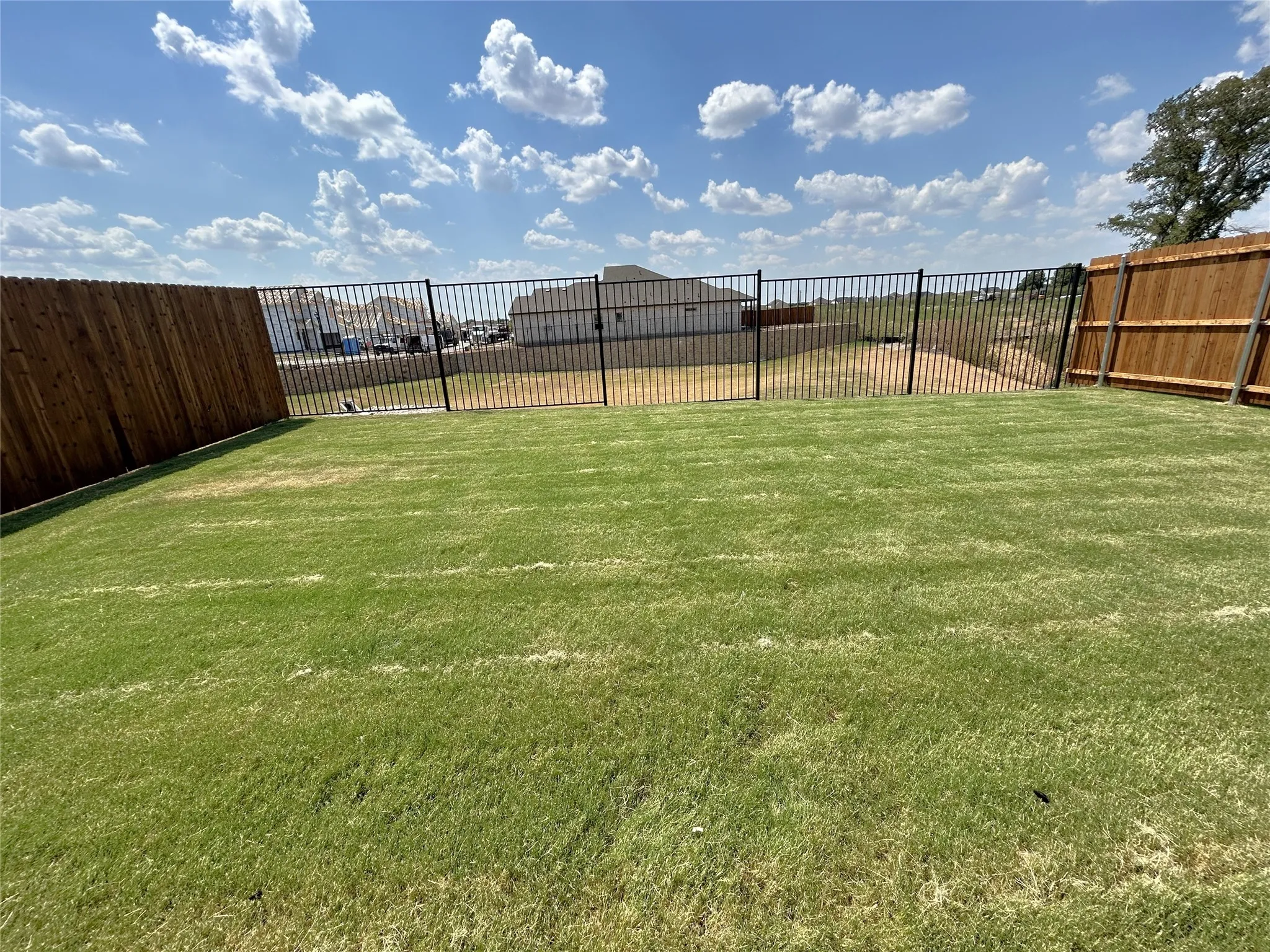 Single Family Residence For Rent in Collin County , 3704 Deer Drive, Princeton, Texas 75071, 4 Bedroom, 3 Bathroom, 2 Garage spaces, 2,055 Sqft, built in 2026, mls#21372774, Real Estate Agent in Princeton, Homes For Rent in Collin county, Homes For Rent in Princeton, Realtor in Princeton Texas, Real Estate Brokerage Independent Realty Texas, Luminita Cordes Realtor