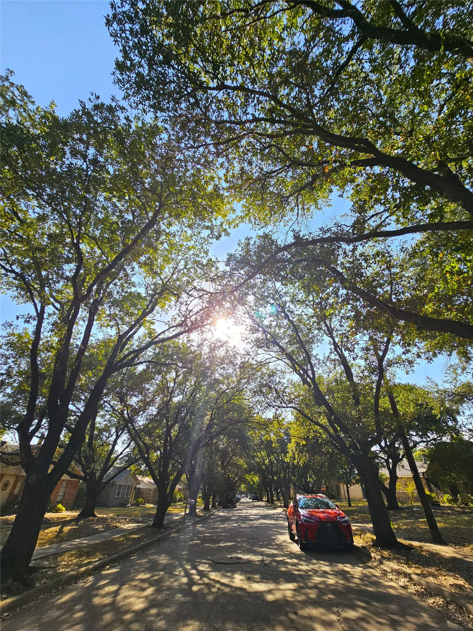 Single Family Residence For Rent in Collin County , 925 Whitehall Drive, Plano, Texas 75023, 3 Bedroom, 2 Bathroom, 2 Garage spaces, 1,440 Sqft, built in 1975, mls#21372784, Real Estate Agent in Plano, Homes For Rent in Collin county, Homes For Rent in Plano, Realtor in Plano Texas, Real Estate Brokerage Independent Realty Texas, Luminita Cordes Realtor