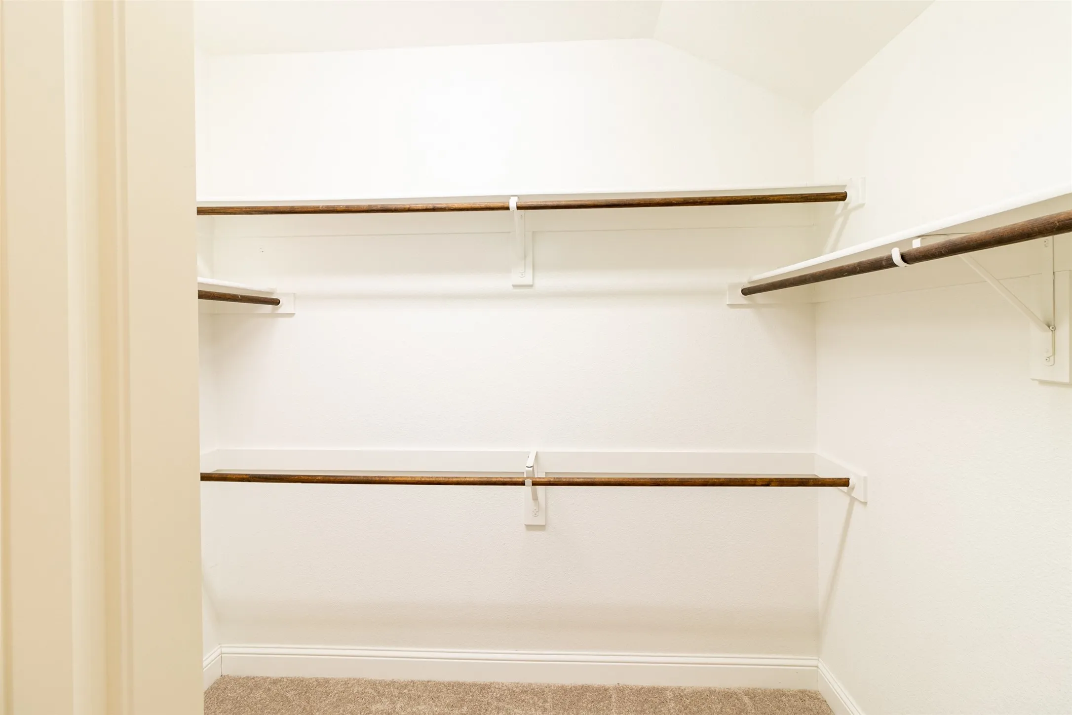 Walk-in closet with multiple shelving units and hanging rods, neutral tone carpeting, and light-colored walls