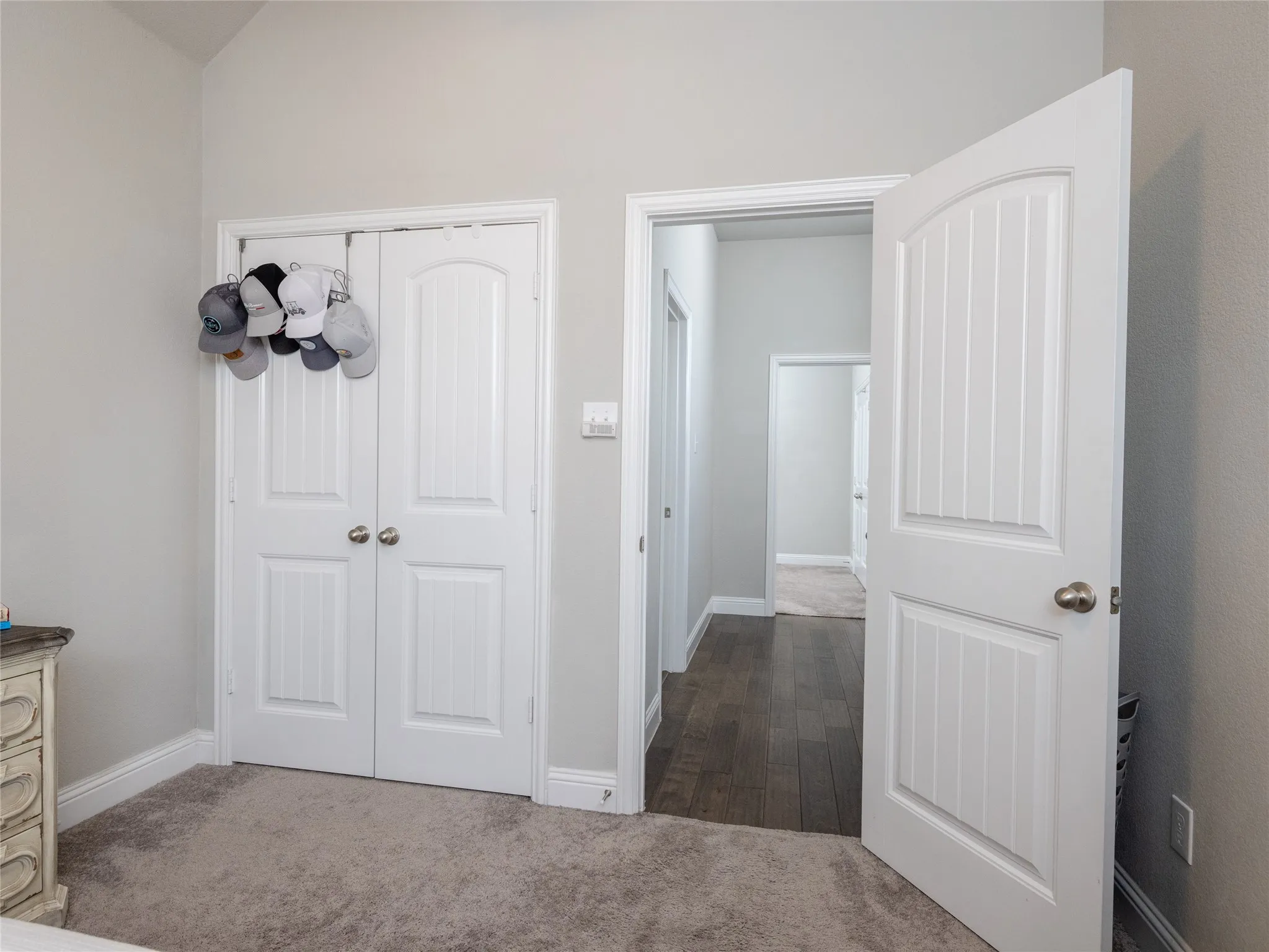 Vaulted ceiling, white paneled doors, light gray wall color, gray carpet, and wood-finish flooring