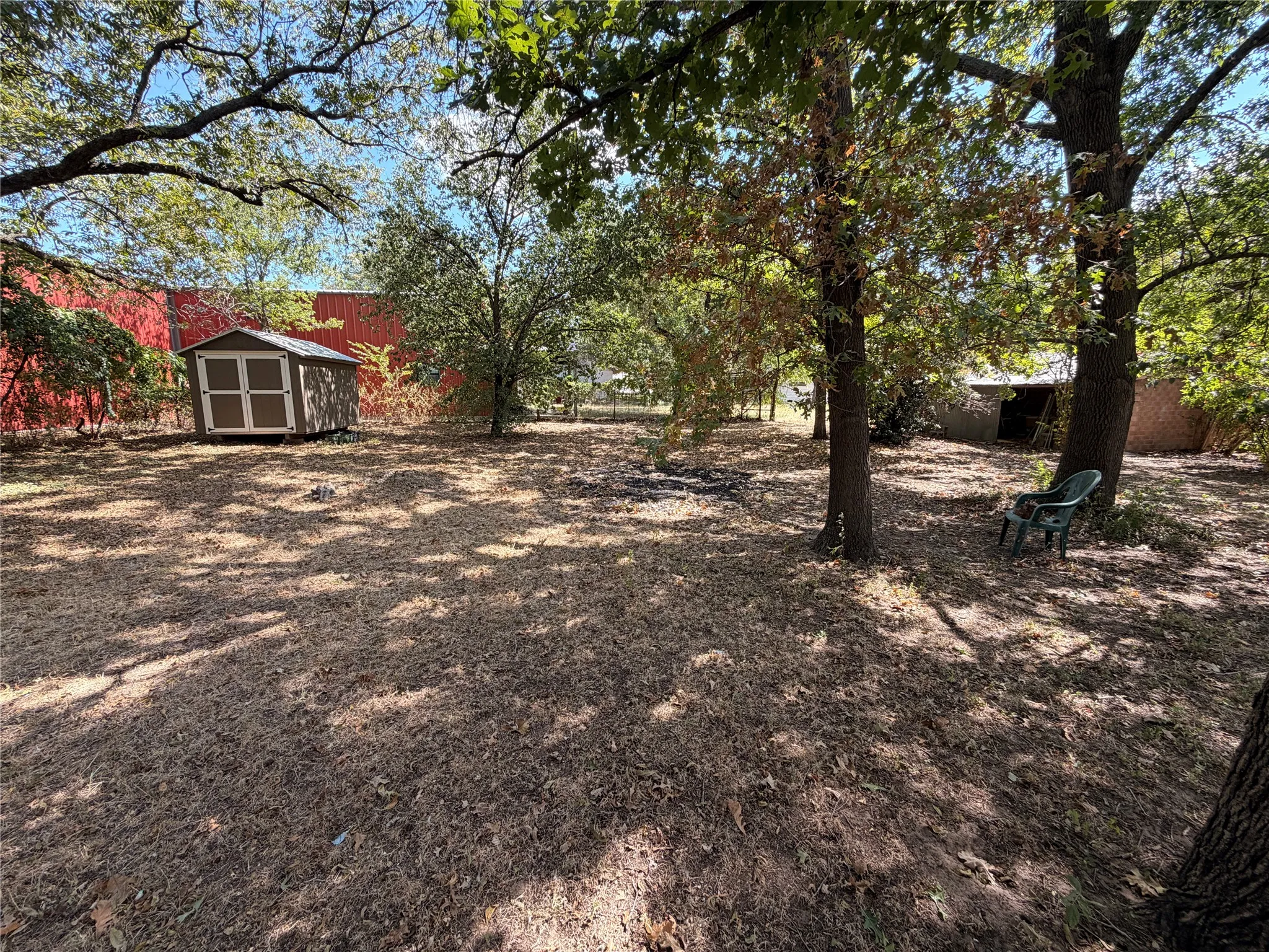 back yard