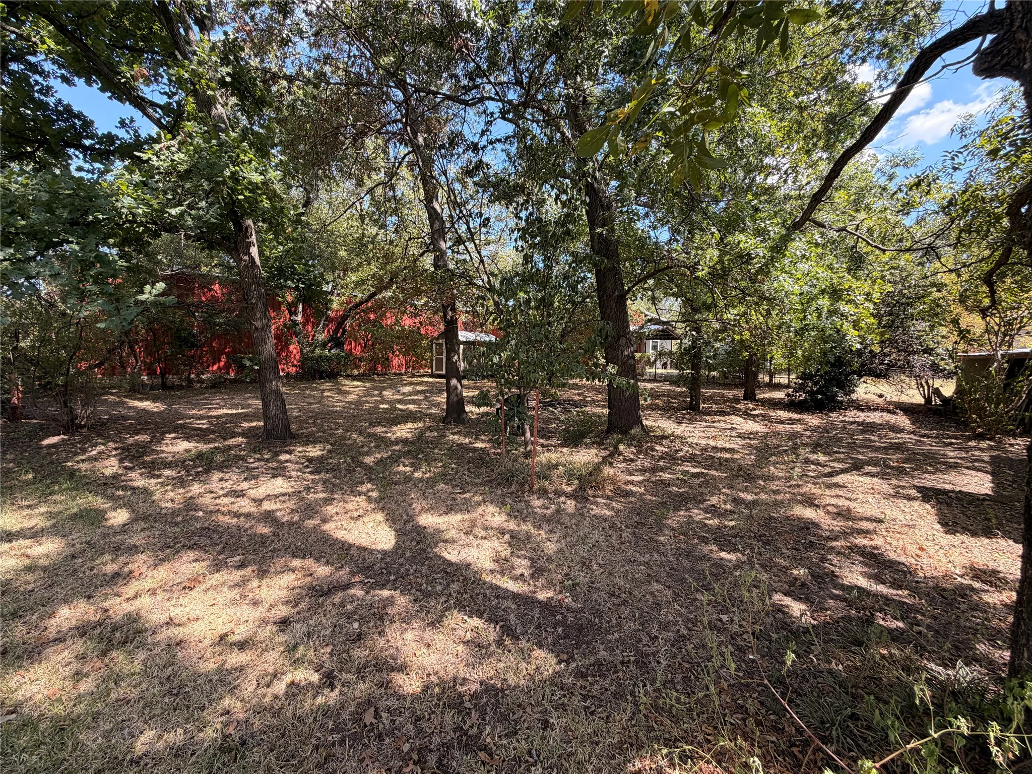 tree covered back yard