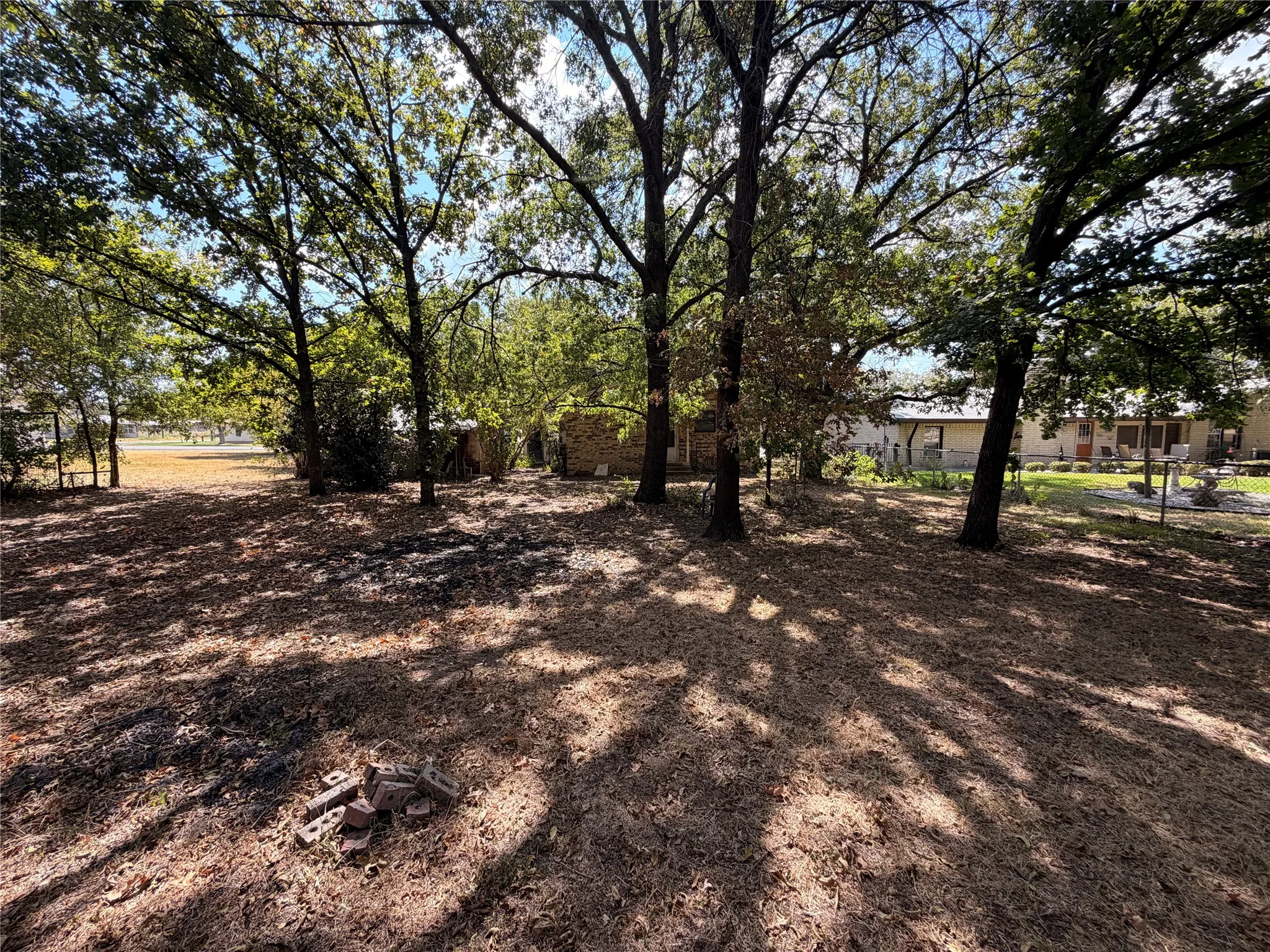 back yard