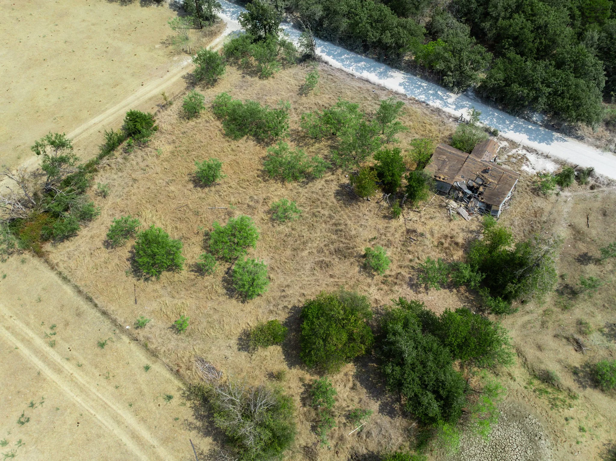 Unimproved Land For Sale in Hill County , 438 Hcr 2205, Aquilla, Texas 76622, 0, 0, Garage spaces, 0 Sqft, built in 0, mls#21367908, Real Estate Agent in Aquilla, Homes For Sale in Hill county, Homes For Sale in Aquilla, Realtor in Aquilla Texas, Real Estate Brokerage Independent Realty Texas, Luminita Cordes Realtor