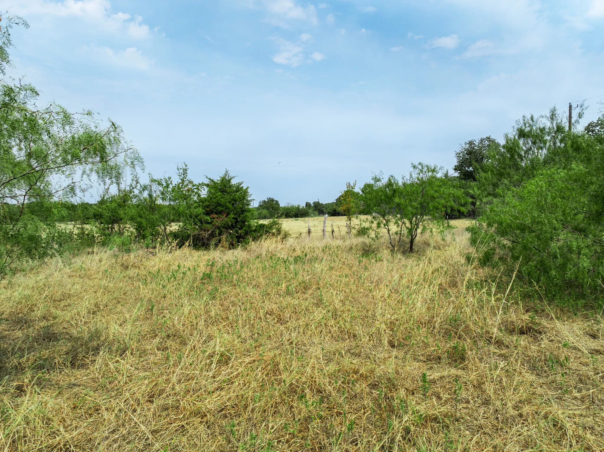 Unimproved Land For Sale in Hill County , 438 Hcr 2205, Aquilla, Texas 76622, 0, 0, Garage spaces, 0 Sqft, built in 0, mls#21367908, Real Estate Agent in Aquilla, Homes For Sale in Hill county, Homes For Sale in Aquilla, Realtor in Aquilla Texas, Real Estate Brokerage Independent Realty Texas, Luminita Cordes Realtor