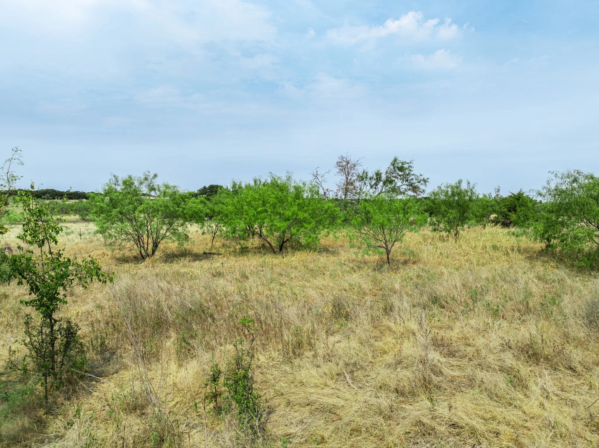 Unimproved Land For Sale in Hill County , 438 Hcr 2205, Aquilla, Texas 76622, 0, 0, Garage spaces, 0 Sqft, built in 0, mls#21367908, Real Estate Agent in Aquilla, Homes For Sale in Hill county, Homes For Sale in Aquilla, Realtor in Aquilla Texas, Real Estate Brokerage Independent Realty Texas, Luminita Cordes Realtor