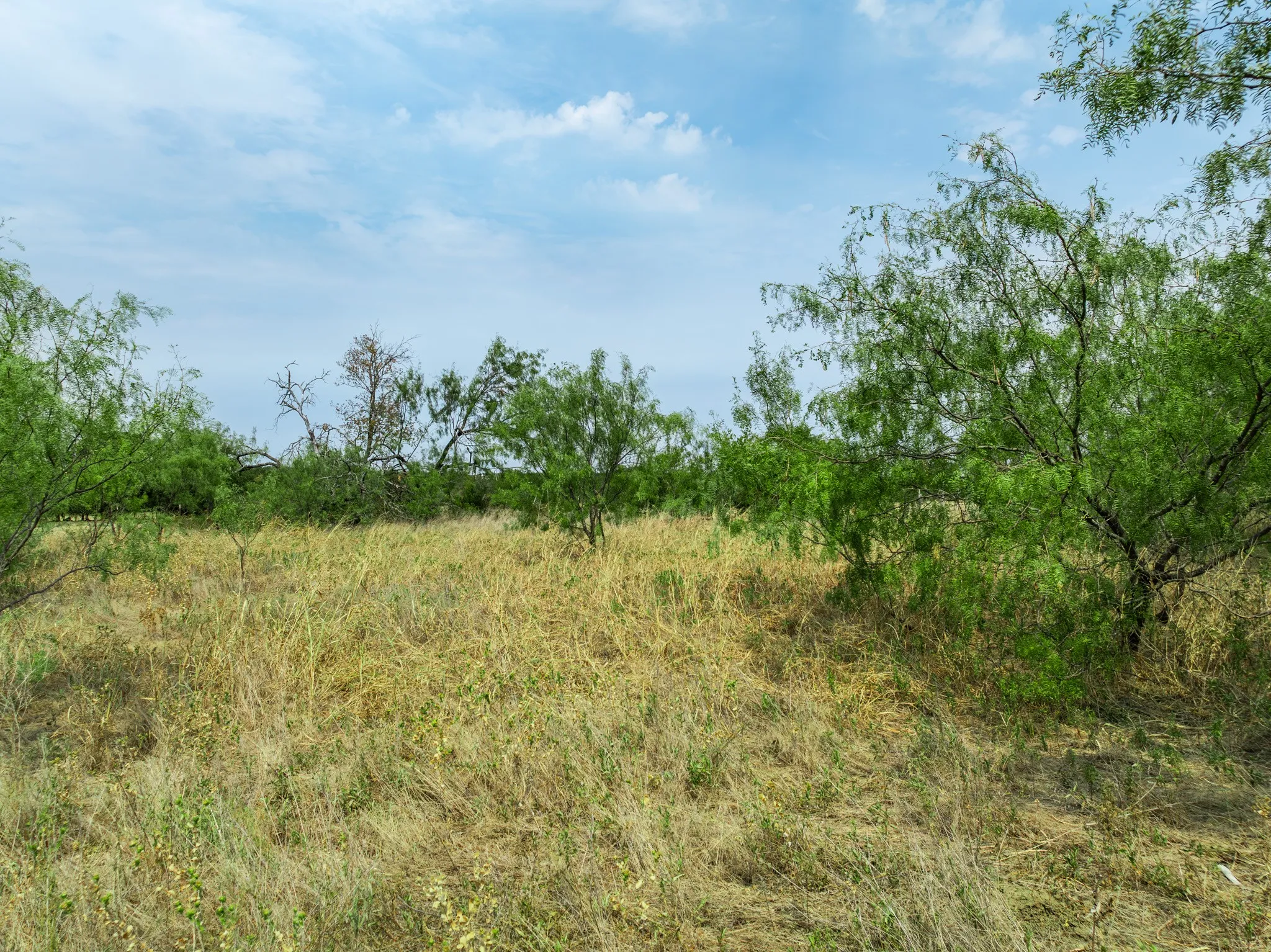 Unimproved Land For Sale in Hill County , 438 Hcr 2205, Aquilla, Texas 76622, 0, 0, Garage spaces, 0 Sqft, built in 0, mls#21367908, Real Estate Agent in Aquilla, Homes For Sale in Hill county, Homes For Sale in Aquilla, Realtor in Aquilla Texas, Real Estate Brokerage Independent Realty Texas, Luminita Cordes Realtor
