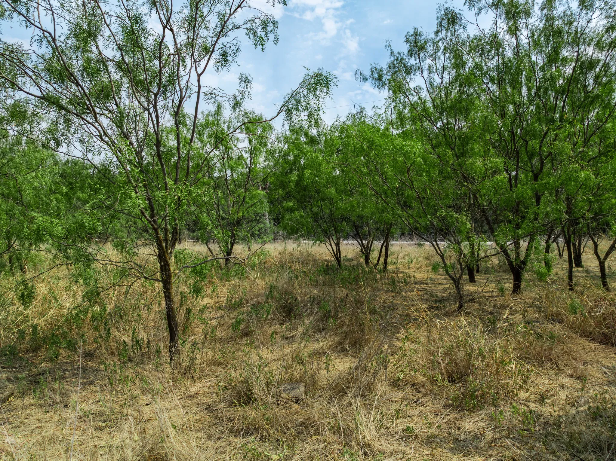 Unimproved Land For Sale in Hill County , 438 Hcr 2205, Aquilla, Texas 76622, 0, 0, Garage spaces, 0 Sqft, built in 0, mls#21367908, Real Estate Agent in Aquilla, Homes For Sale in Hill county, Homes For Sale in Aquilla, Realtor in Aquilla Texas, Real Estate Brokerage Independent Realty Texas, Luminita Cordes Realtor