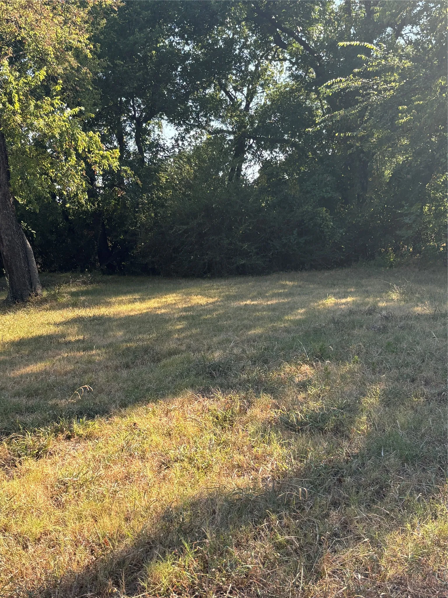 Unimproved Land For Sale in Cooke County , 724 Mill Street, Gainesville, Texas 76240, 0, 0, Garage spaces, 0 Sqft, built in 0, mls#21372670, Real Estate Agent in Gainesville, Homes For Sale in Cooke county, Homes For Sale in Gainesville, Realtor in Gainesville Texas, Real Estate Brokerage Independent Realty Texas, Luminita Cordes Realtor