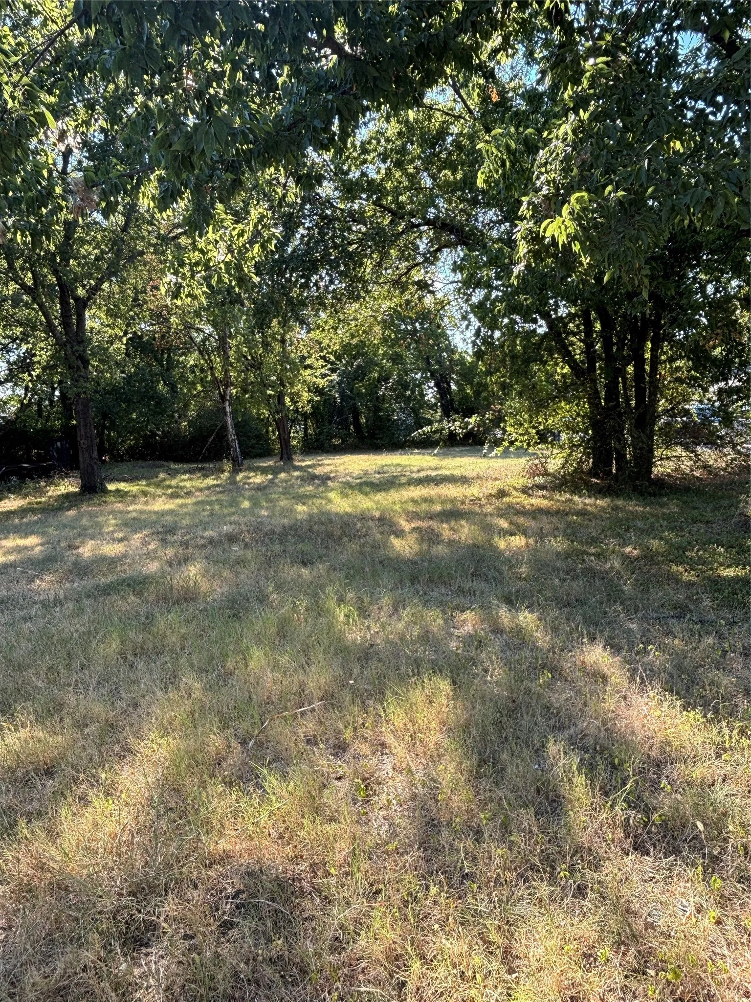 Unimproved Land For Sale in Cooke County , 724 Mill Street, Gainesville, Texas 76240, 0, 0, Garage spaces, 0 Sqft, built in 0, mls#21372670, Real Estate Agent in Gainesville, Homes For Sale in Cooke county, Homes For Sale in Gainesville, Realtor in Gainesville Texas, Real Estate Brokerage Independent Realty Texas, Luminita Cordes Realtor