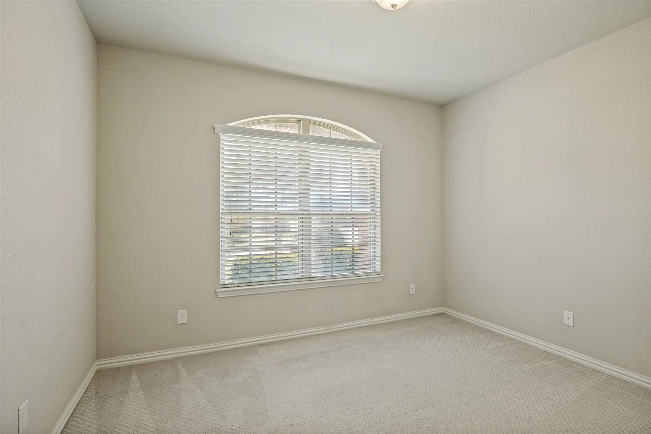 Arched window with blinds, light gray wall paint, and gray carpeting