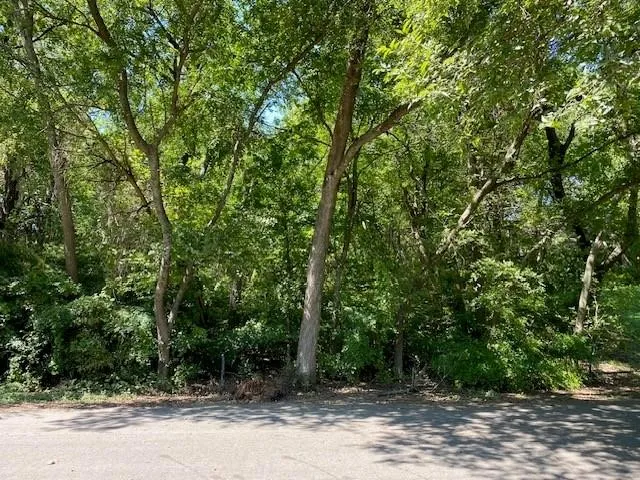 Unimproved Land For Sale in Dallas County , 1211 Rita Lane, Duncanville, Texas 75116, 0, 0, Garage spaces, 0 Sqft, built in 0, mls#21372881, Real Estate Agent in Duncanville, Homes For Sale in Dallas county, Homes For Sale in Duncanville, Realtor in Duncanville Texas, Real Estate Brokerage Independent Realty Texas, Luminita Cordes Realtor