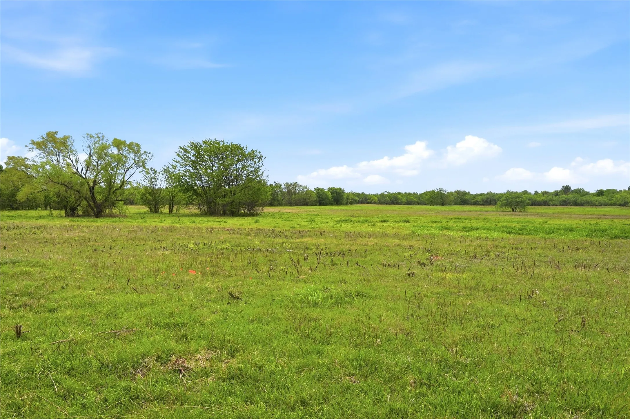 Warehouse For Sale in Grayson County , 656 Southeast Loop, Denison, Texas 75020, 0, 0, Garage spaces, 0 Sqft, built in 0, mls#21372841, Real Estate Agent in Denison, Homes For Sale in Grayson county, Homes For Sale in Denison, Realtor in Denison Texas, Real Estate Brokerage Independent Realty Texas, Luminita Cordes Realtor