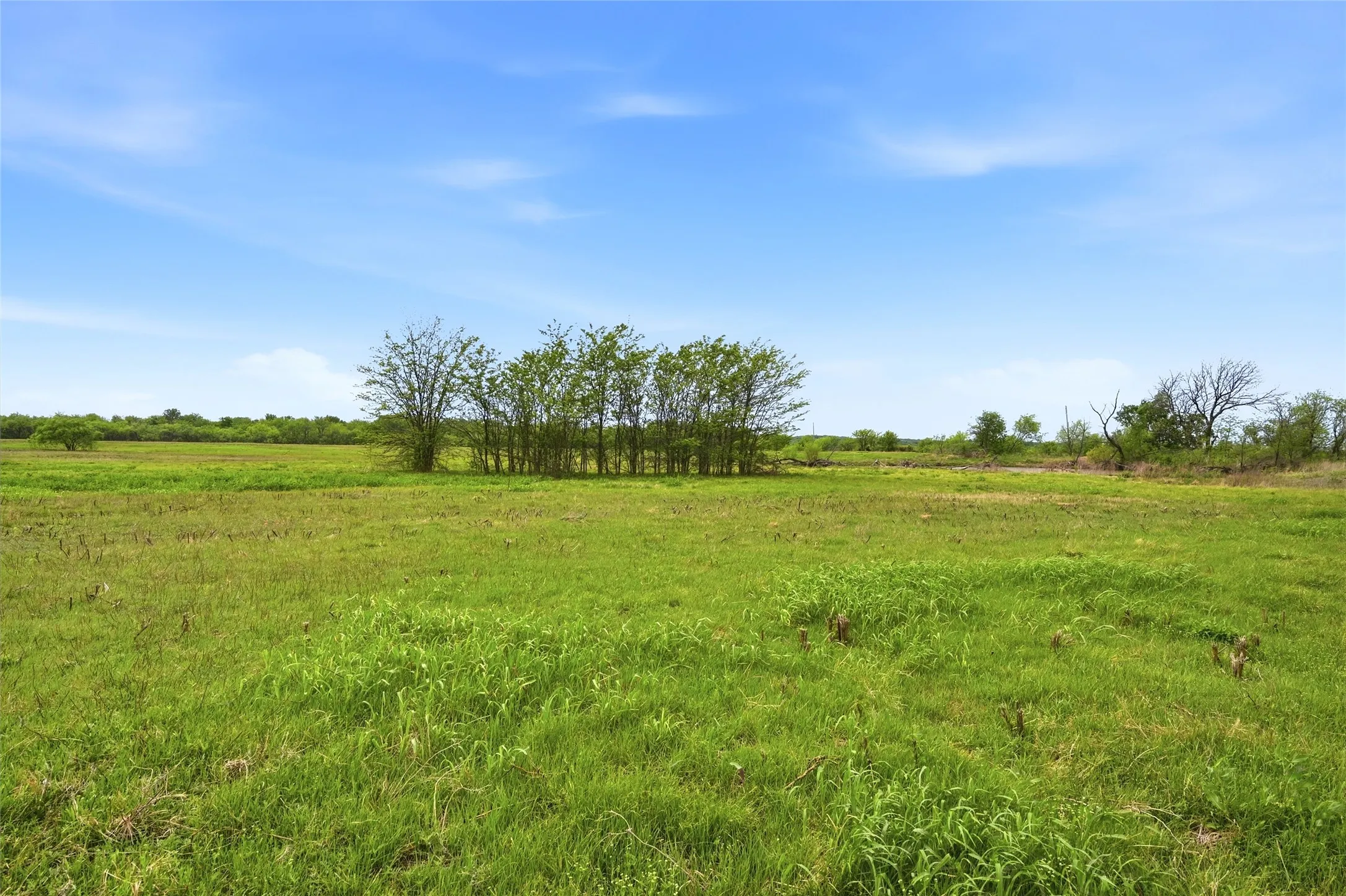 Warehouse For Sale in Grayson County , 656 Southeast Loop, Denison, Texas 75020, 0, 0, Garage spaces, 0 Sqft, built in 0, mls#21372841, Real Estate Agent in Denison, Homes For Sale in Grayson county, Homes For Sale in Denison, Realtor in Denison Texas, Real Estate Brokerage Independent Realty Texas, Luminita Cordes Realtor