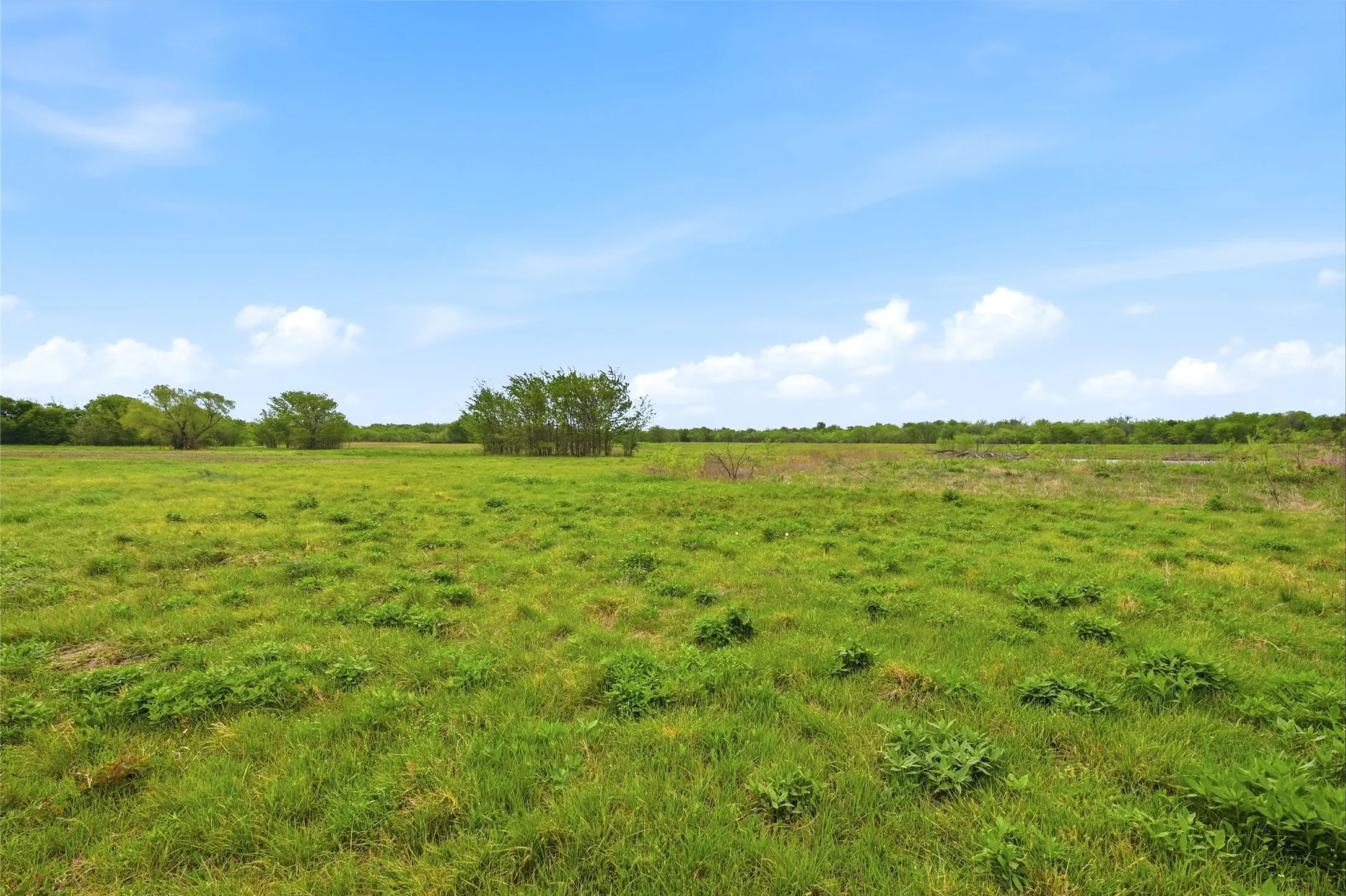 Warehouse For Sale in Grayson County , 656 Southeast Loop, Denison, Texas 75020, 0, 0, Garage spaces, 0 Sqft, built in 0, mls#21372841, Real Estate Agent in Denison, Homes For Sale in Grayson county, Homes For Sale in Denison, Realtor in Denison Texas, Real Estate Brokerage Independent Realty Texas, Luminita Cordes Realtor