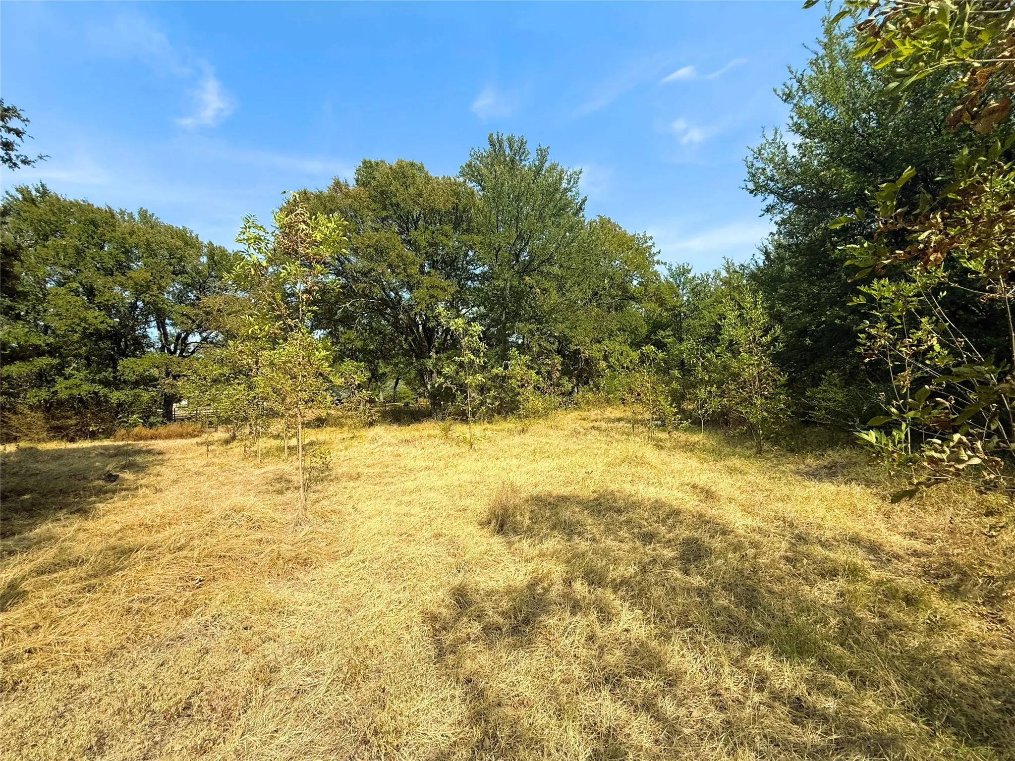 Expansive lot with mature trees and natural landscaping