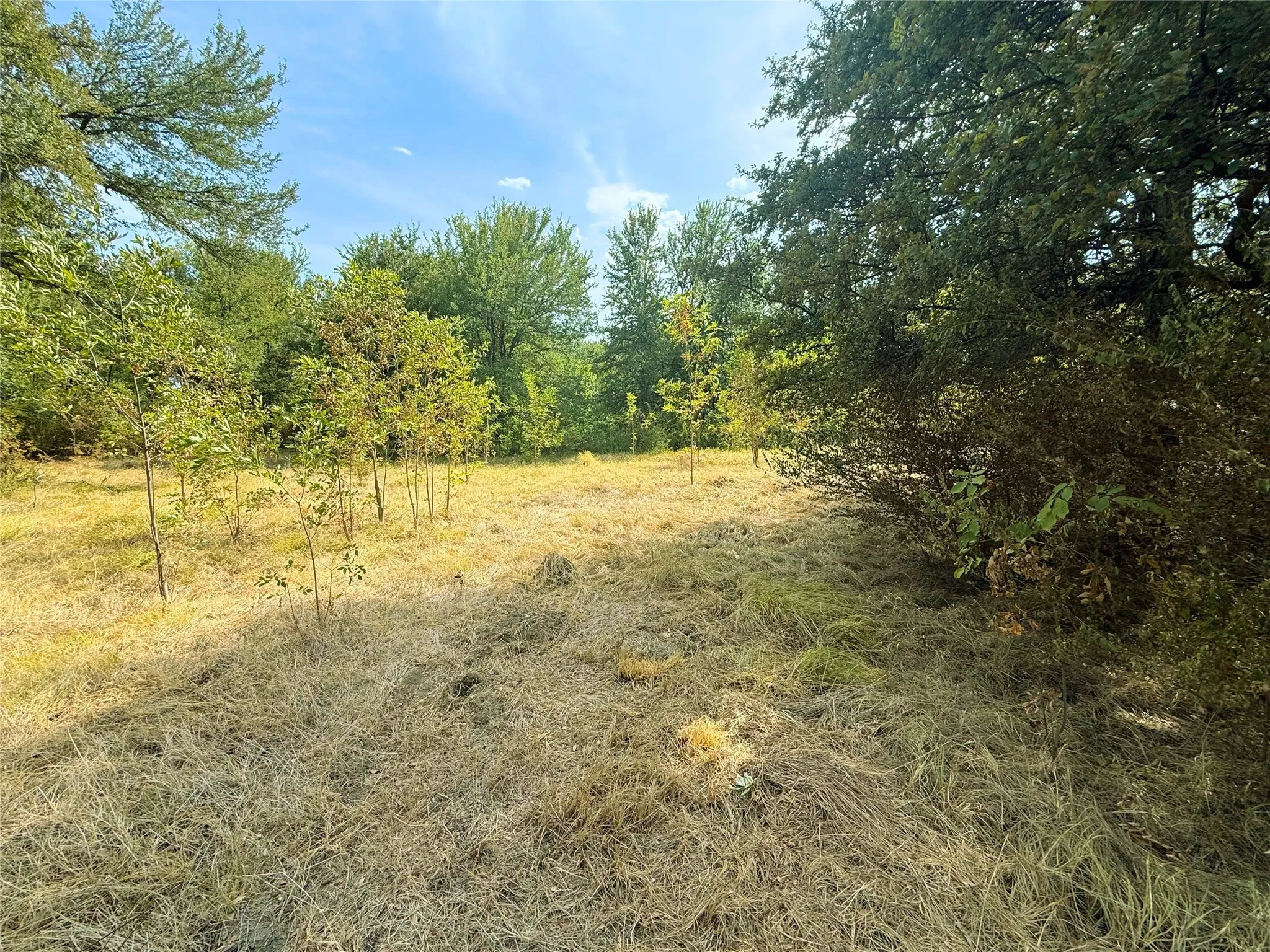 Unimproved Land For Sale in Rains County , 311 Harbor View, Point, Texas 75472, 0, 0, Garage spaces, 0 Sqft, built in 0, mls#21371724, Real Estate Agent in Point, Homes For Sale in Rains county, Homes For Sale in Point, Realtor in Point Texas, Real Estate Brokerage Independent Realty Texas, Luminita Cordes Realtor